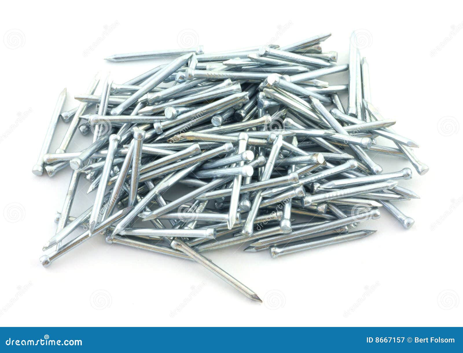 Wire brads stock image. Image of head, zinc, white, shaft 8667157