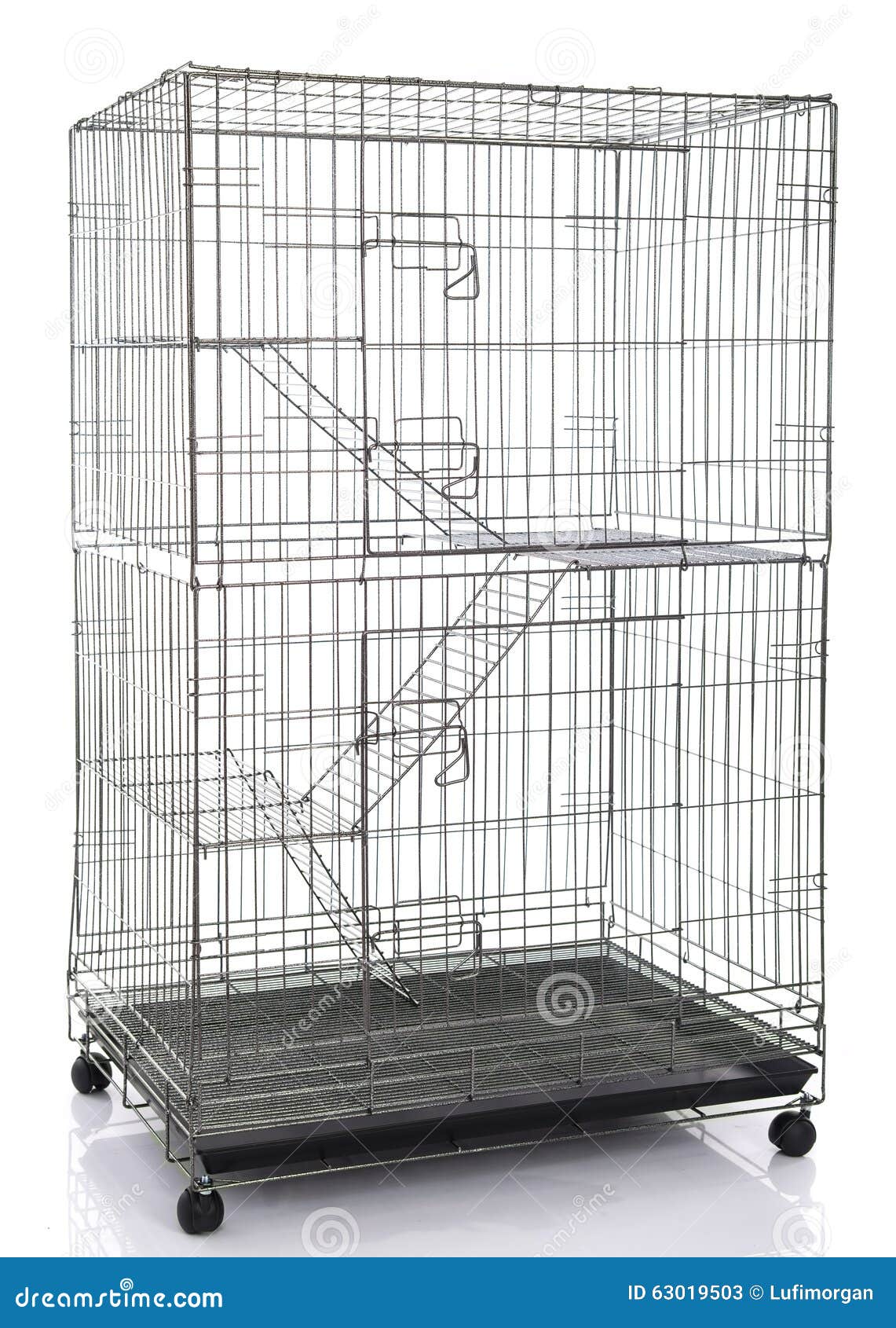 Wire Cat Crate or Animal Cage Stock Image Image of large, floor 63019503