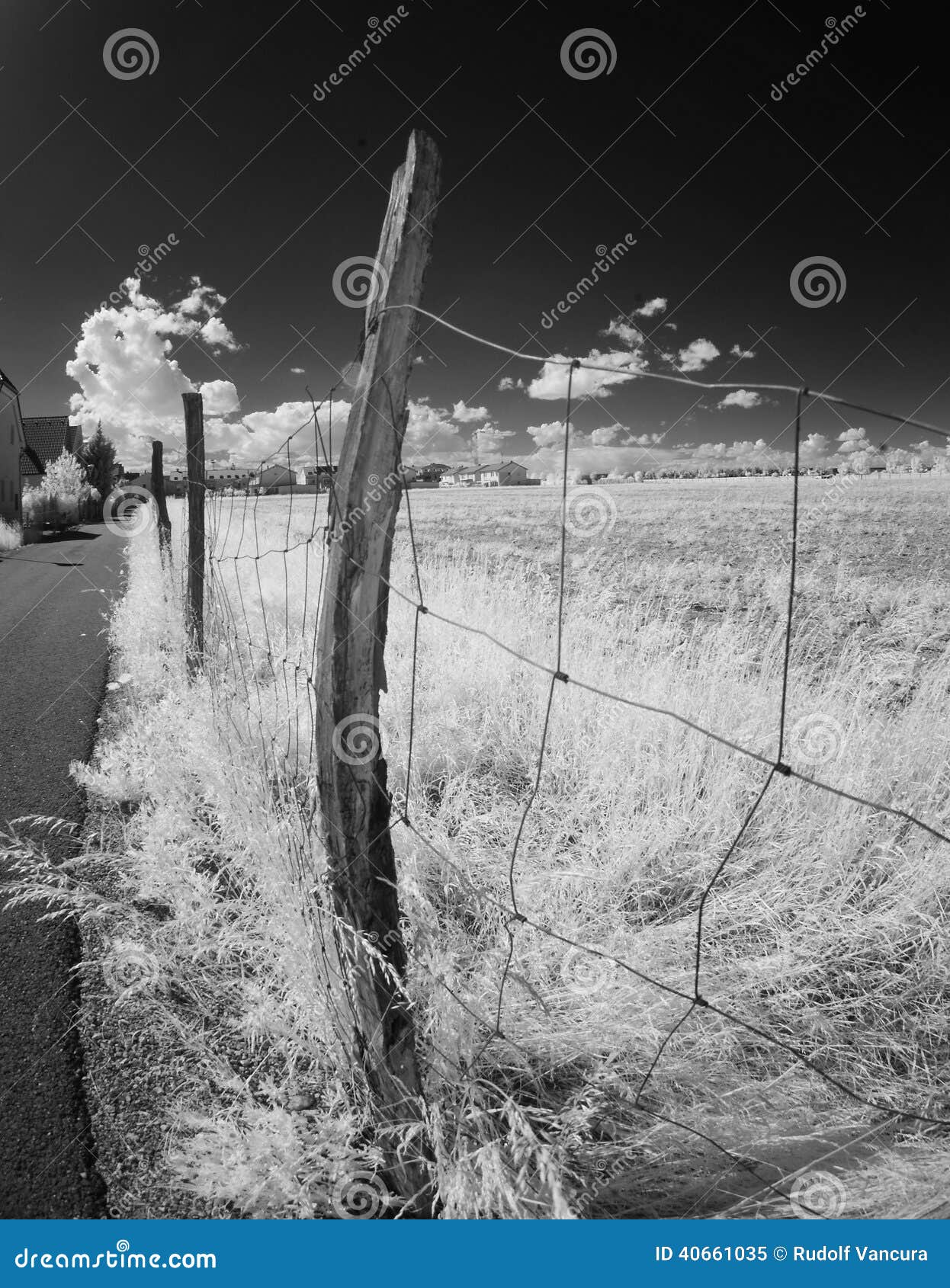 wire fence along a field