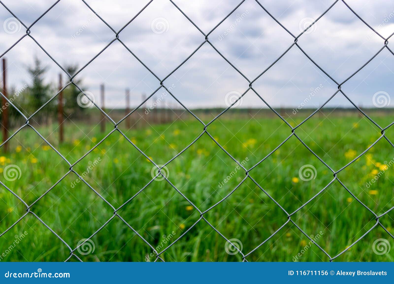 Wire mesh fence Rabitz net stock photo. Image of material - 116711156
