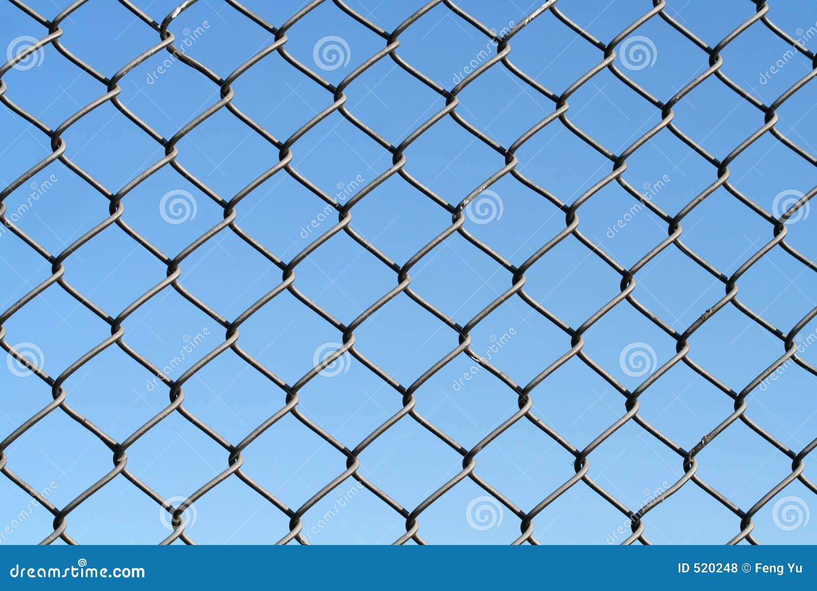 Wire netting stock photo. Image of fortify, fence, trap 520248