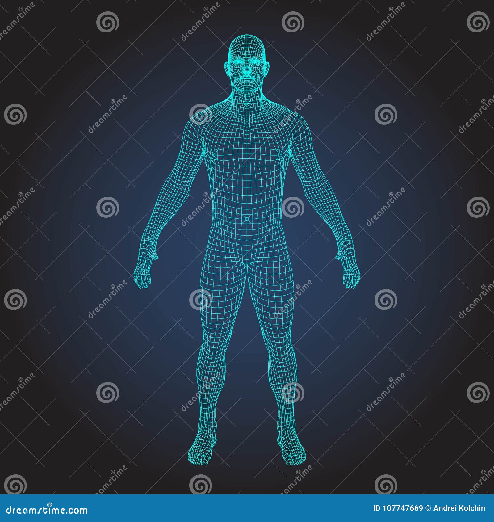 A 3D illustration of a female body showcasing - Stock Illustration  [103871801] - PIXTA