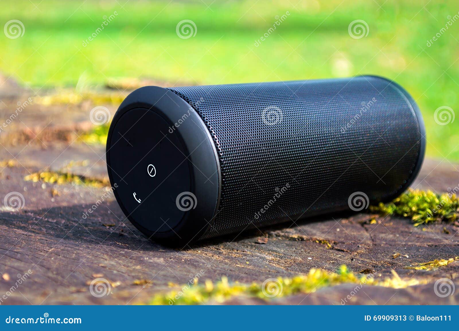 Wireless Speaker Located on the Trunk Stock Image - Image of trunk, mobile:  69909313