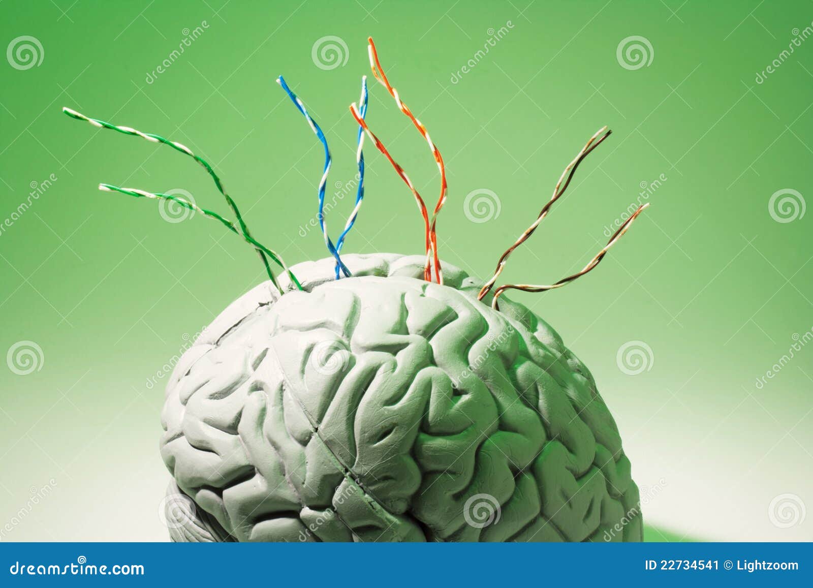 how to print in the brain 9 how to print in the brain 9