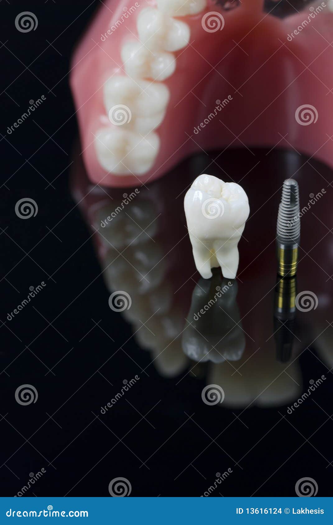 Wisdom Tooth Background Images, HD Pictures and Wallpaper For Free