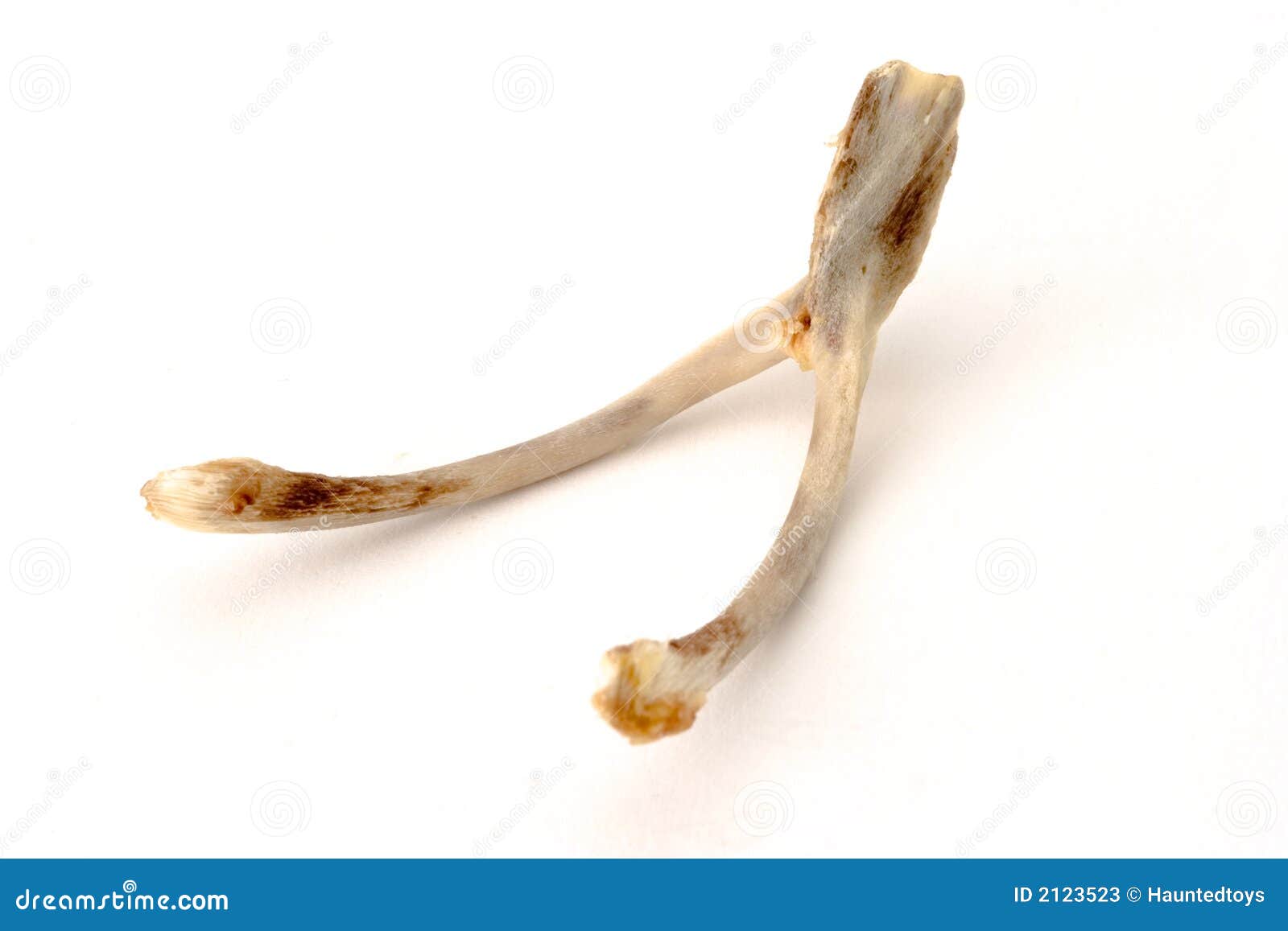 Wish Bone Wish Bone Stock Photos - Image: 2123523