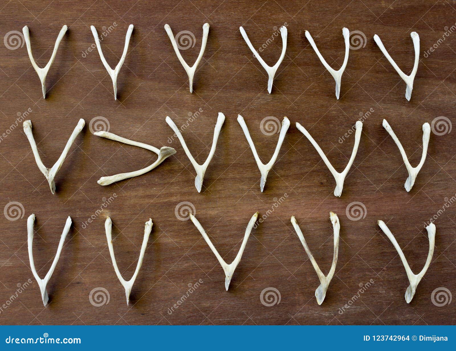 Wishbone stock photo. Image of chicken, wishes, chance 123742964