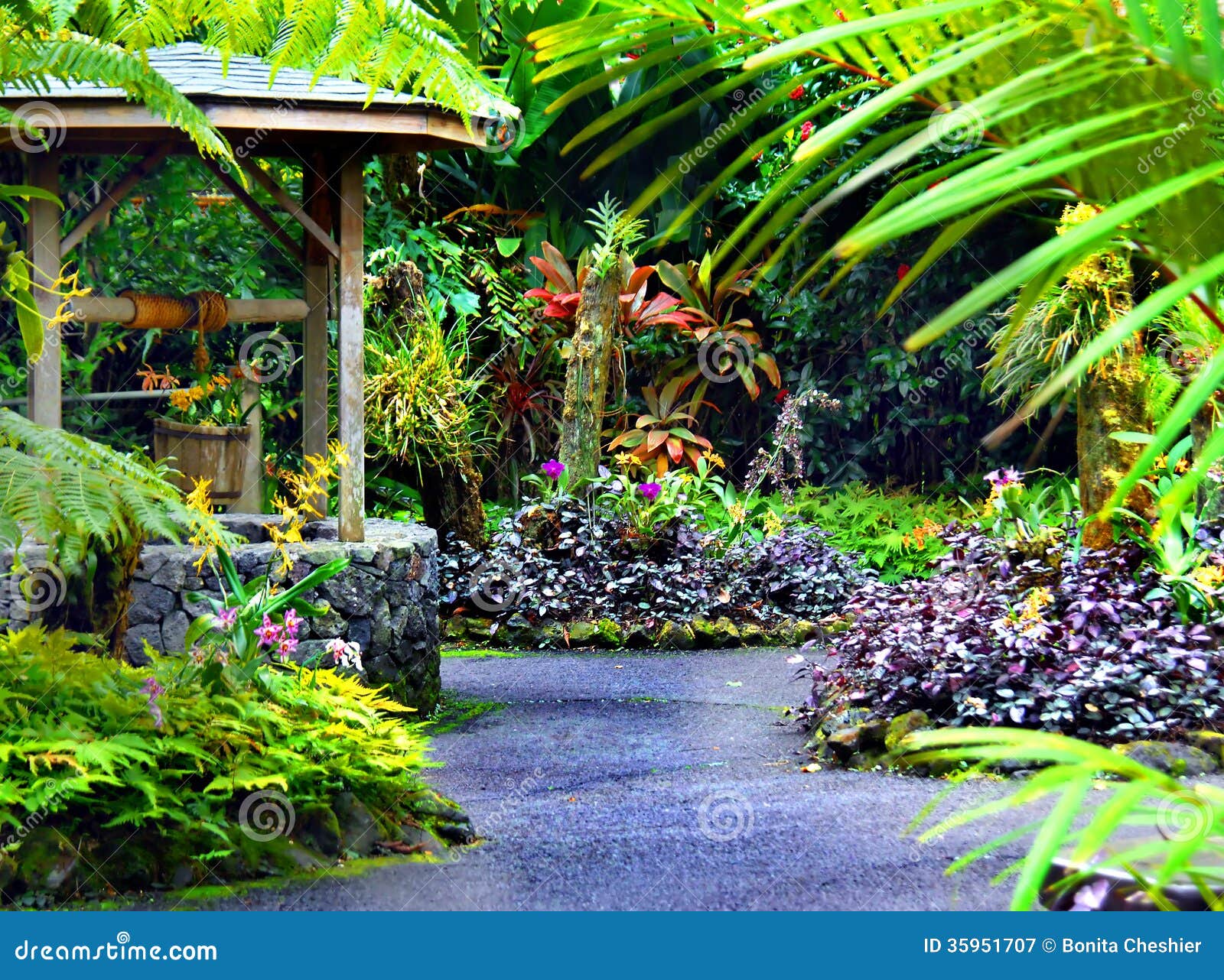 Wishing Well Stock Image Image Of Blooming National 35951707