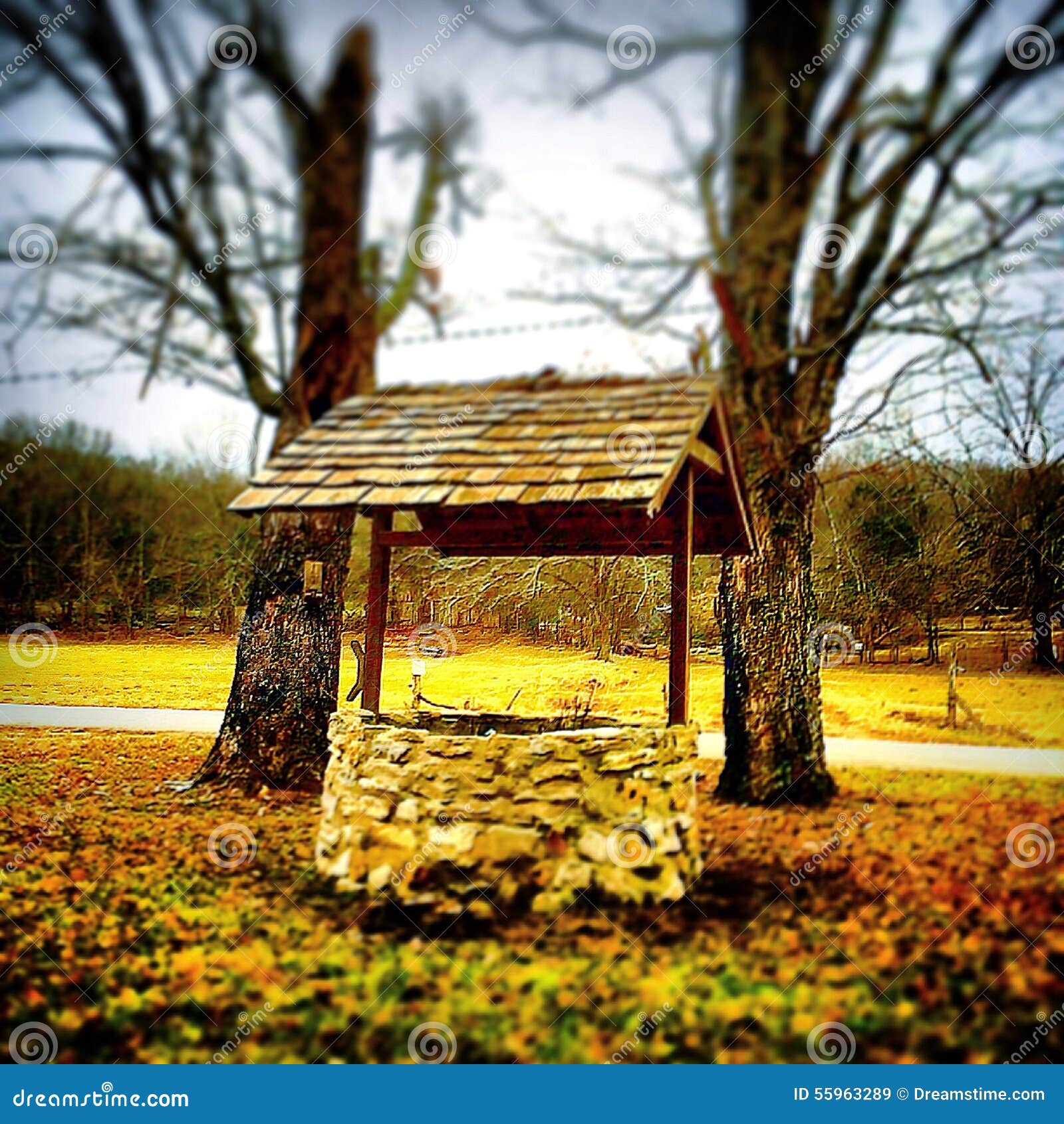Wishing well stock image. Image of tilt, trees, fall 55963289