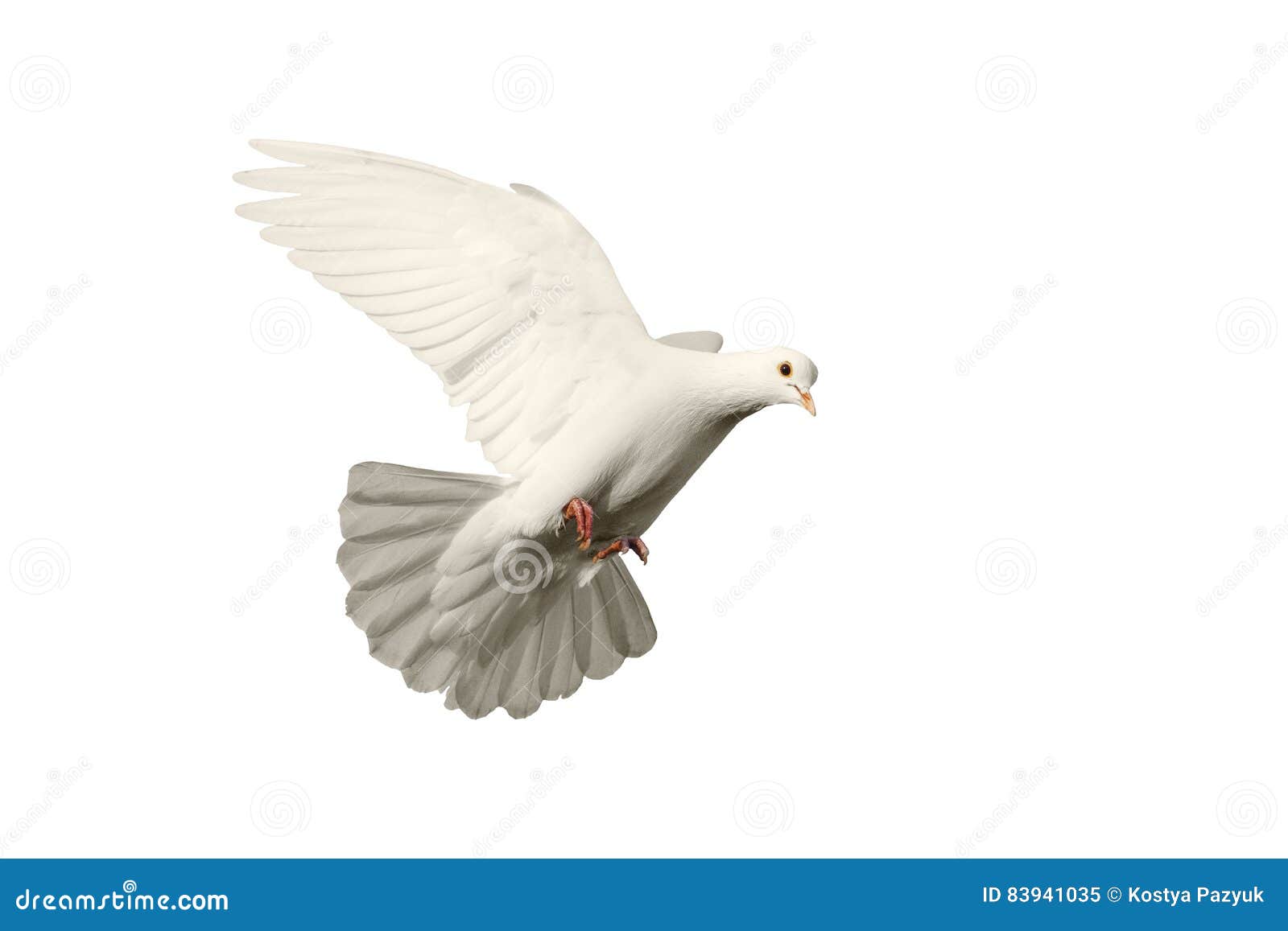Ronde stopcontact opgroeien Wit Duif Vliegend Die Symbool Van Liefde Op Achtergrond Wordt Geïsoleerd Stock Afbeelding - Image of veer, vrijheid: 83941035 Ronde stopcontact opgroeien Wit Duif Vliegend Die Symbool Van Liefde Op Achtergrond Wordt Geïsoleerd Stock Afbeelding - Image of veer, vrijheid: 83941035