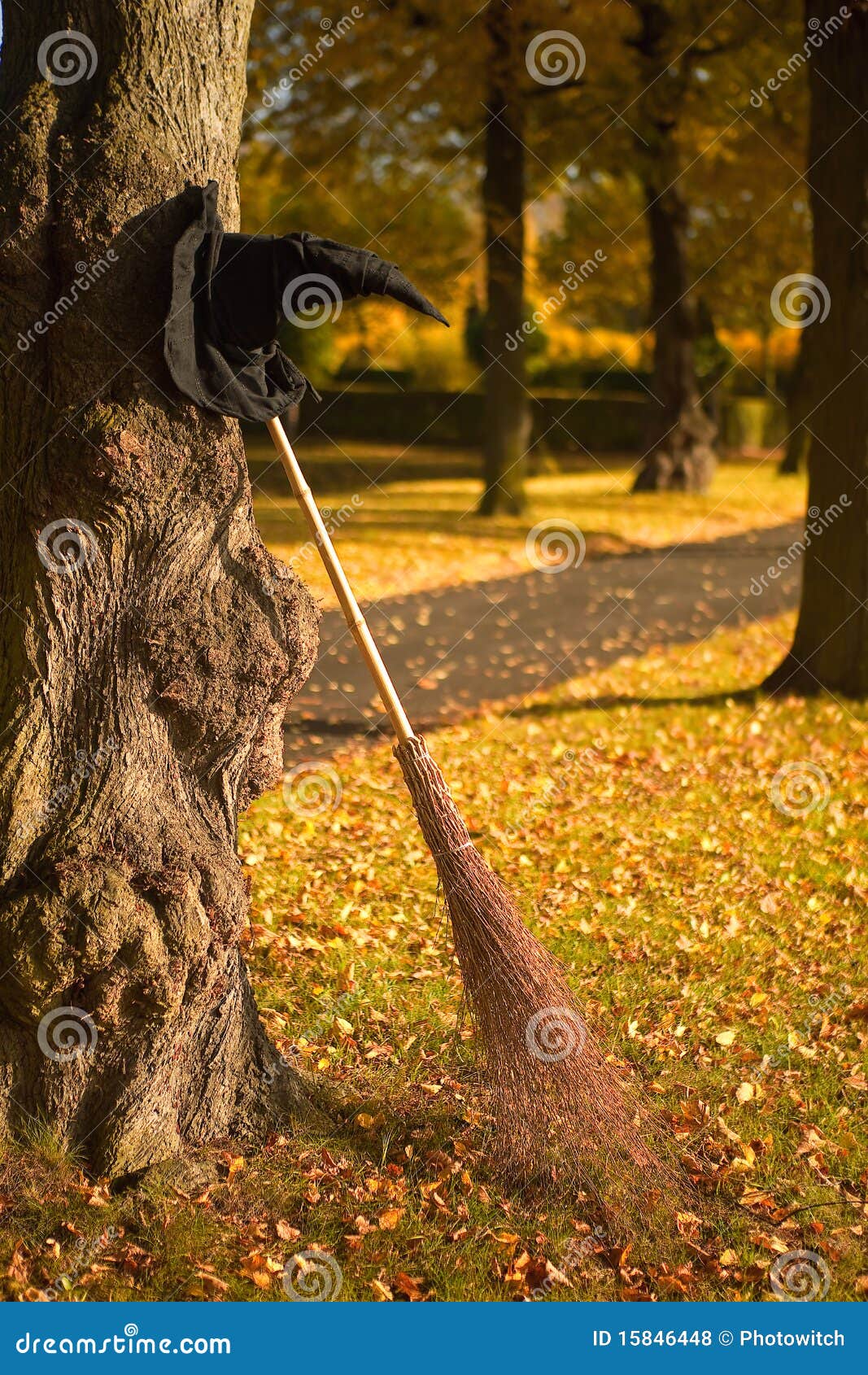 Witch Hat And Broom In The Fall Royalty Free Stock Photos Image 15846448
