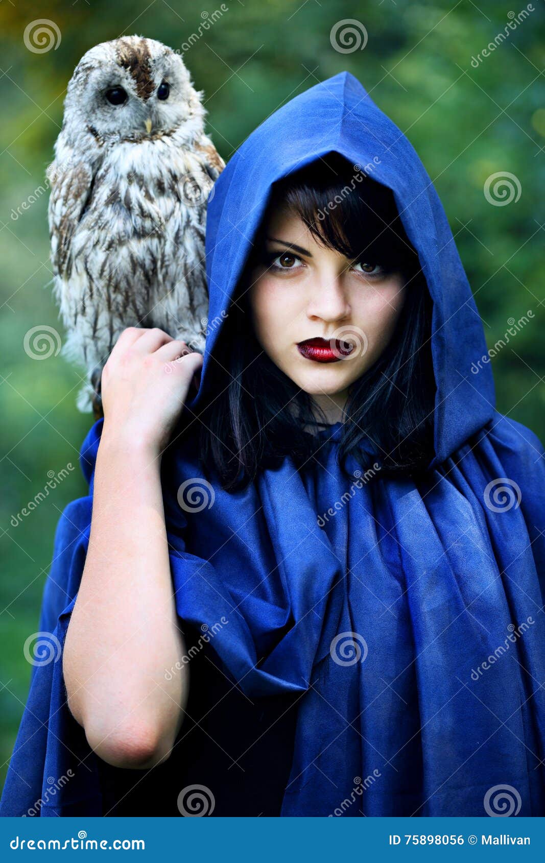 Witch in the Hood with an Owl Stock Photo - Image of girl, horror