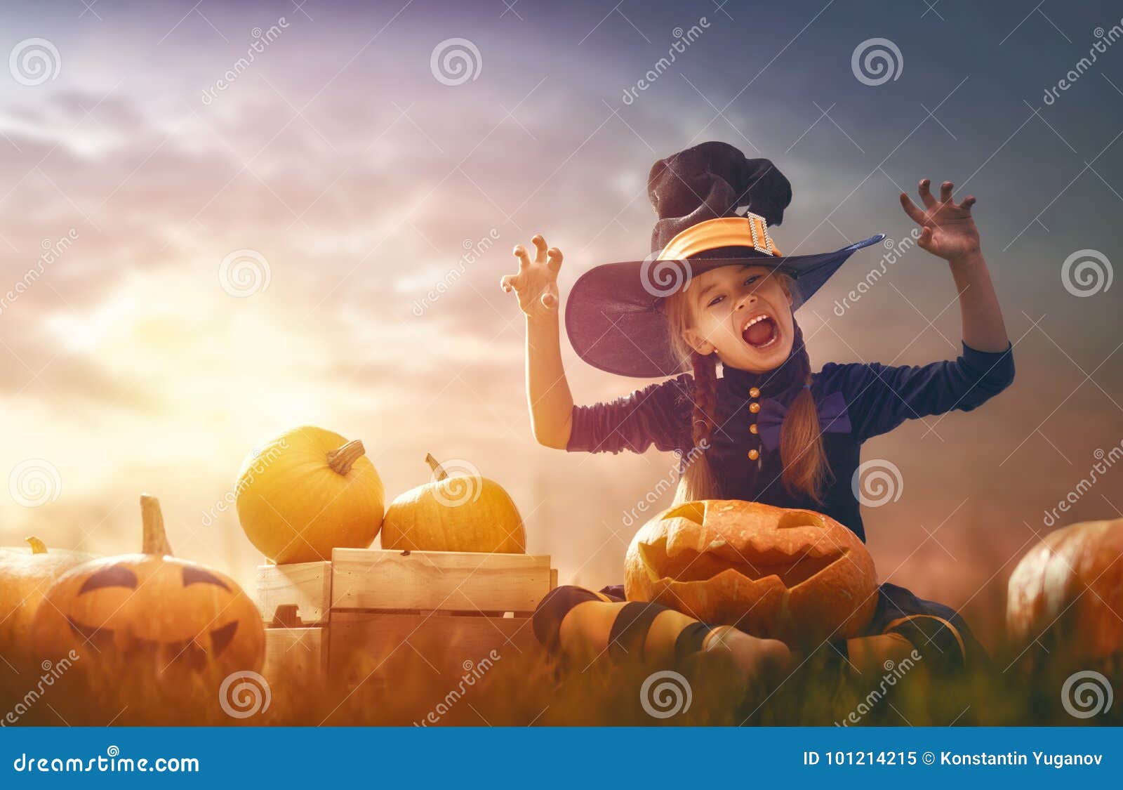 Witch with pumpkins stock image. Image of magical, people - 101214215