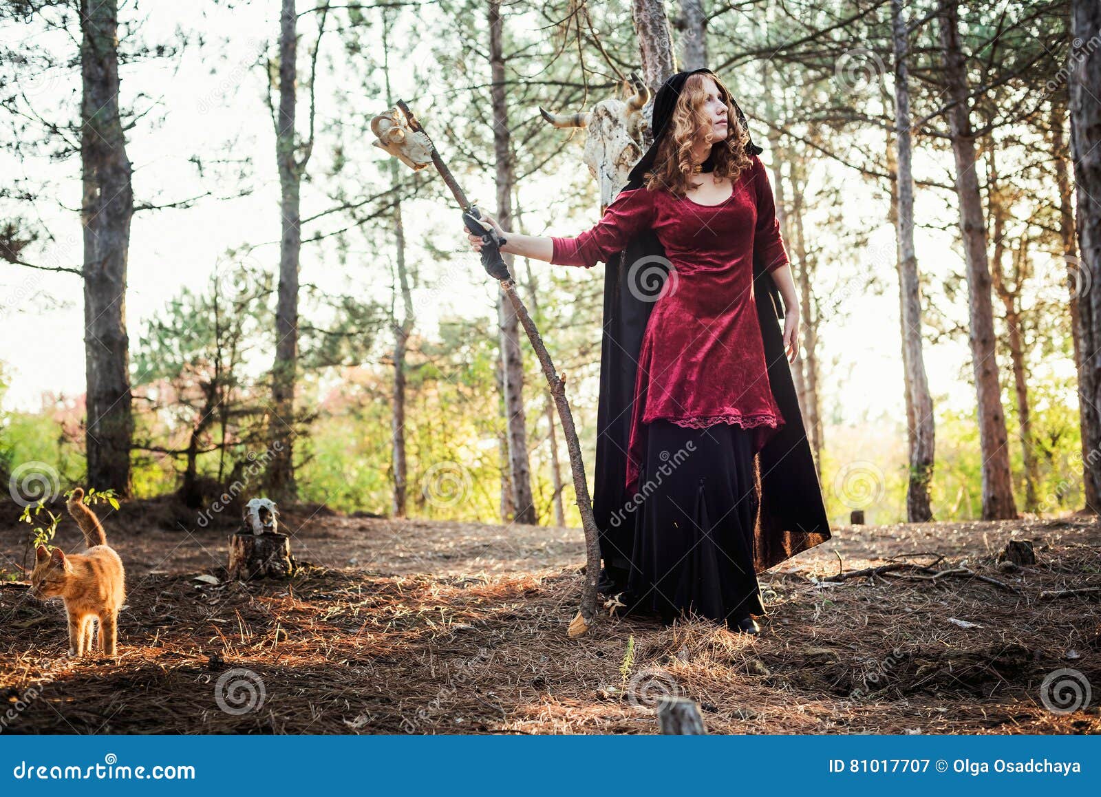 the witch in the wood th white the witch in the wood th white