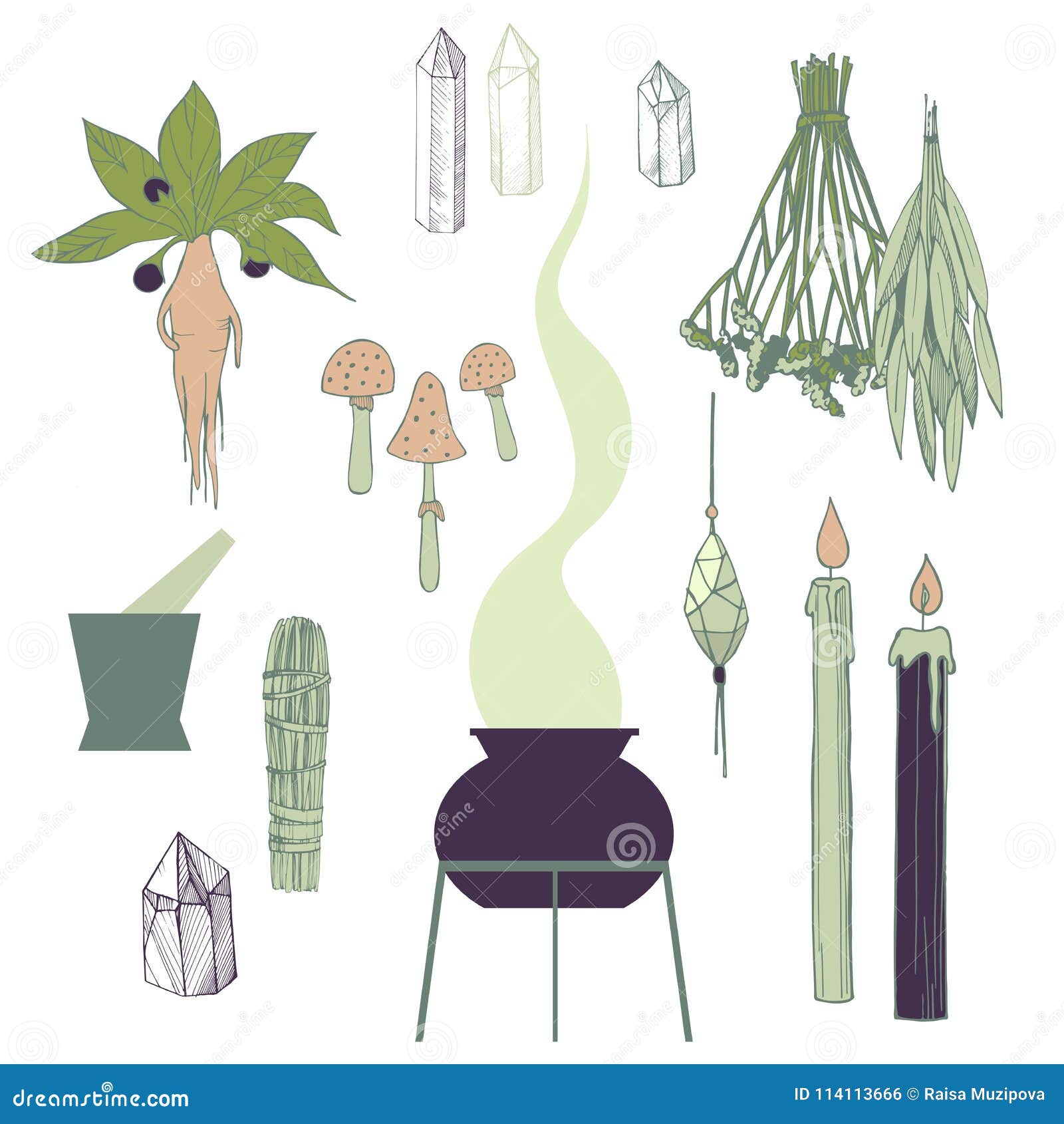 Witchcraft Things Set. Herbs, Crystals.Vector Illustration. Stock ...