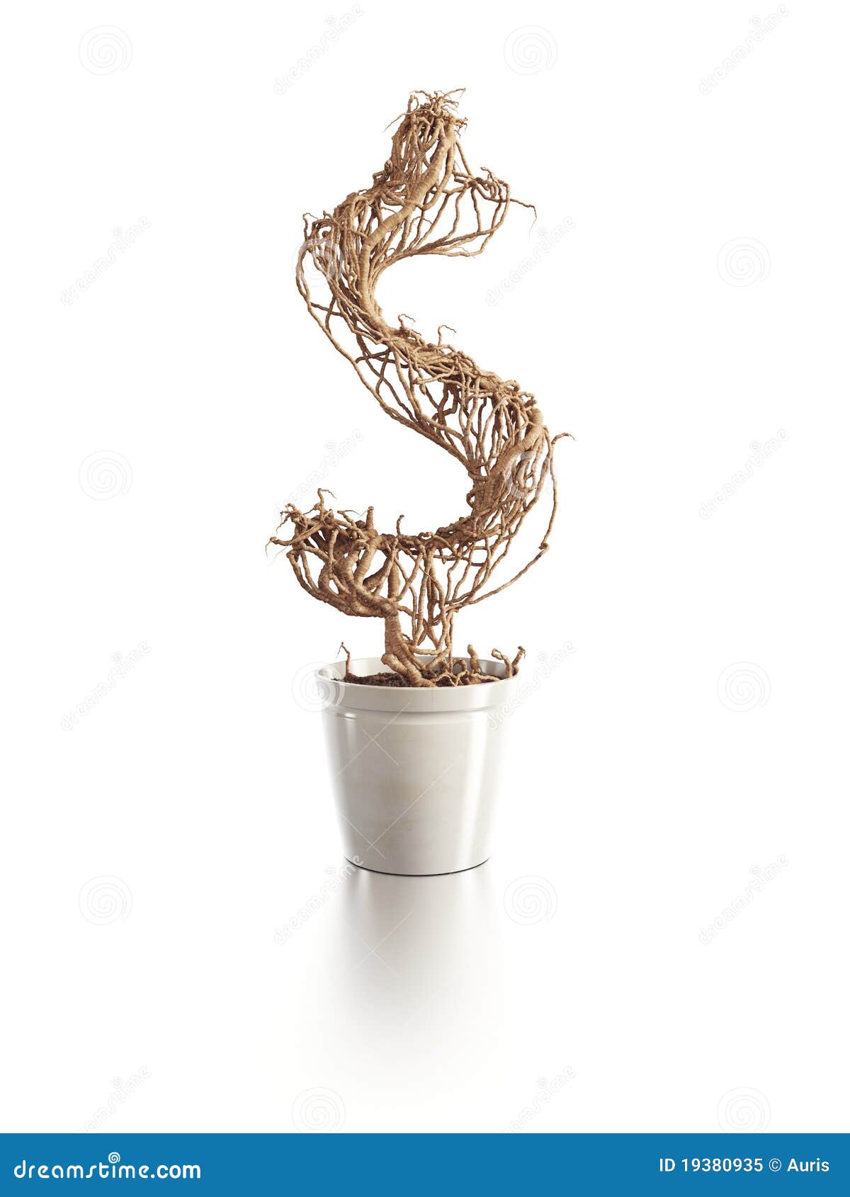 Withered dollar tree stock illustration. Illustration of banking 19380935