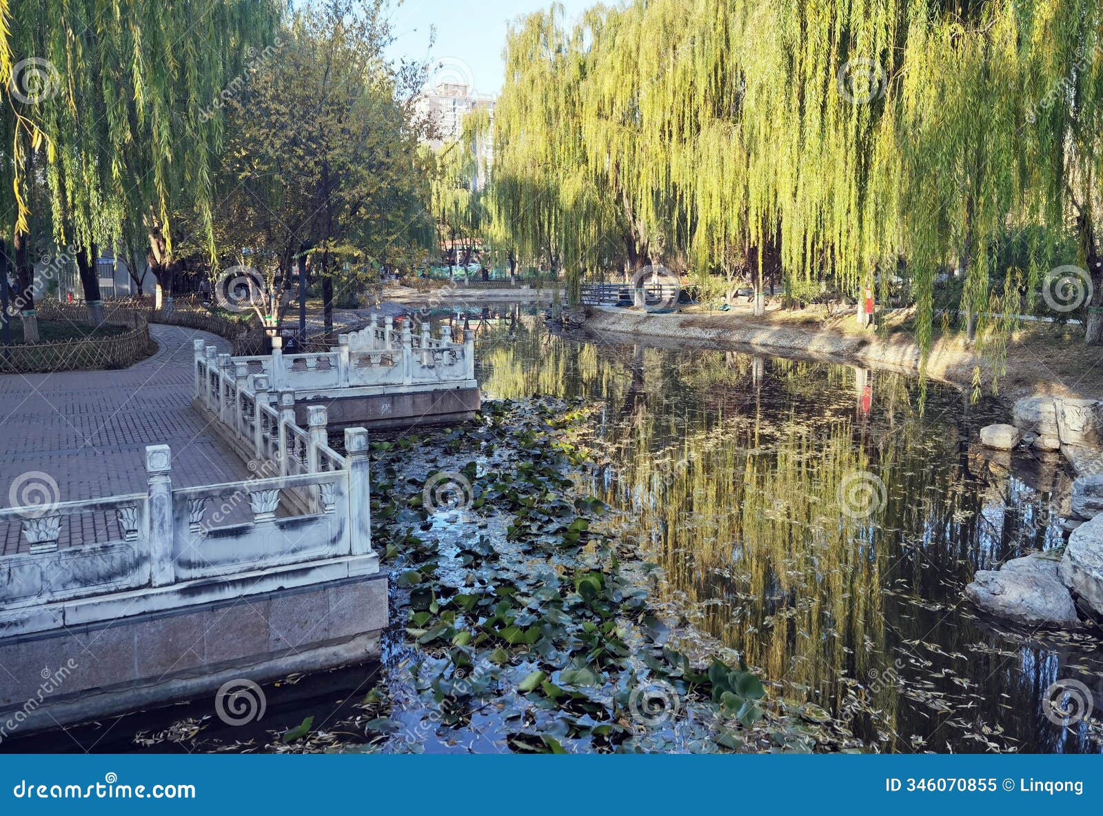 scenery in the city leisure park in late autumn.