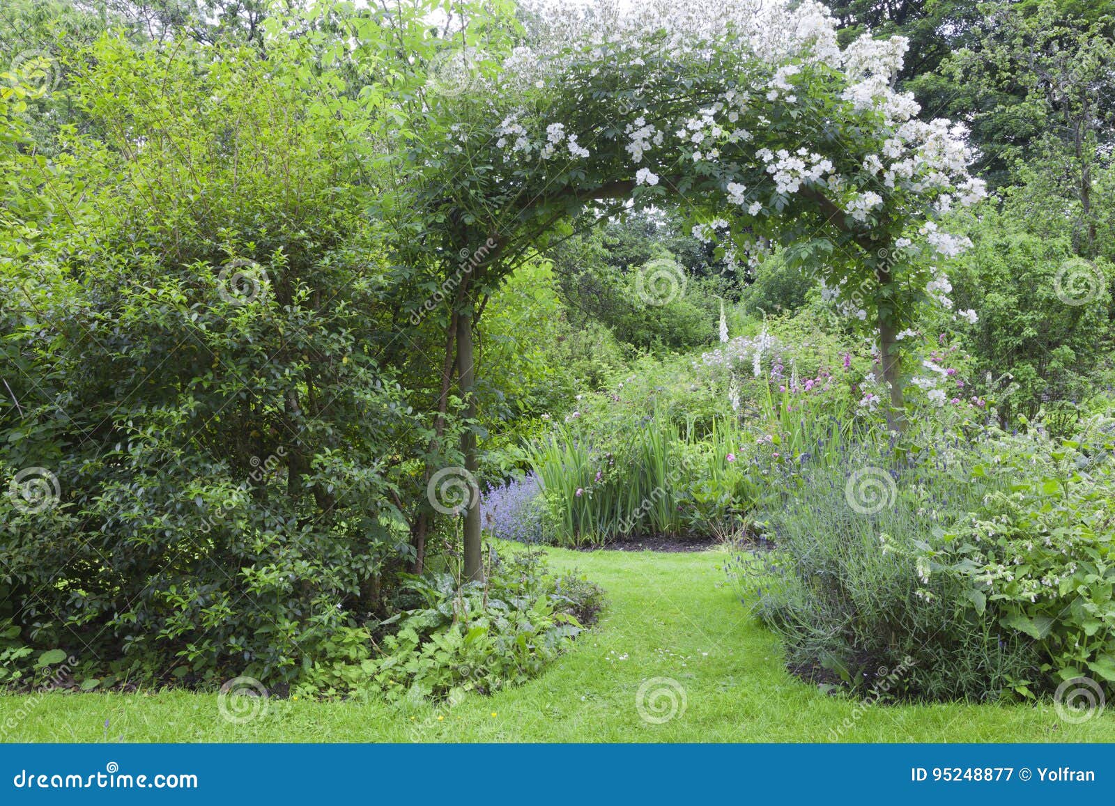 Witte Rozenboog in Kleurrijke Bloeiende Tuin Stock - Image of park, poort: 95248877