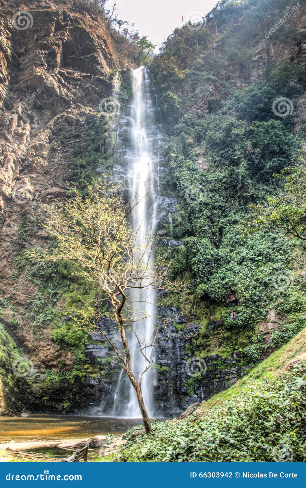 wli waterfall in the volta region in ghana