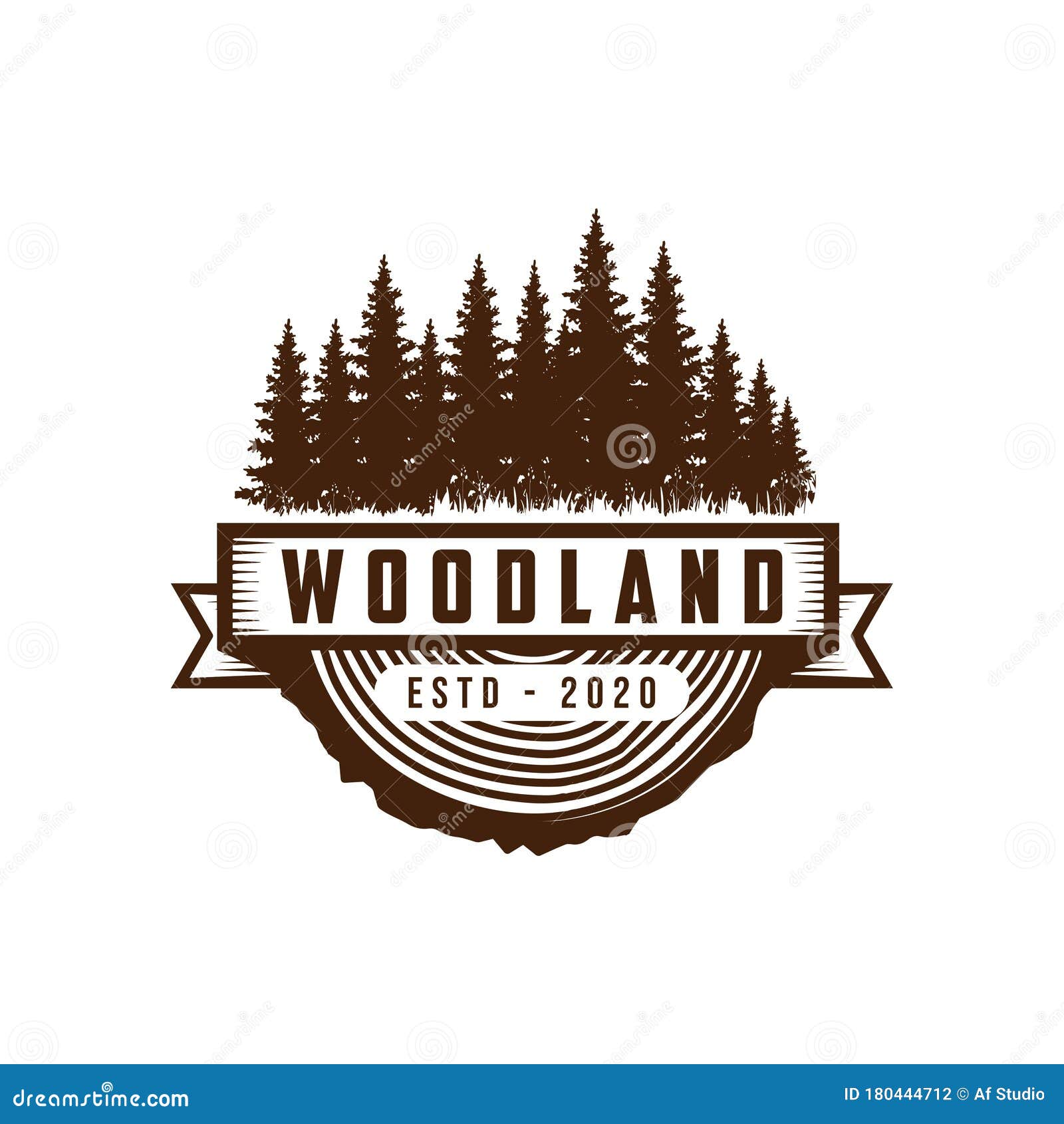 rustic vintage evergreen, pines, spruce, cedar trees logo  