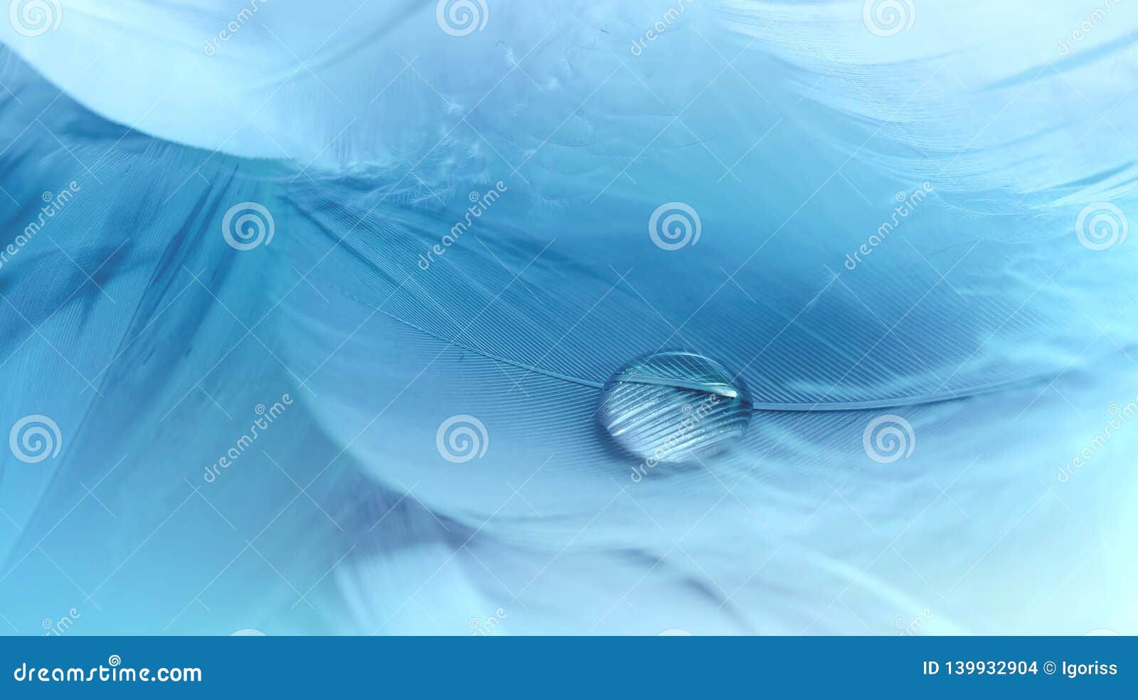 Wodna kropla na piórkowym makro- miękkim błękitnym tle. Wodna kropla na puszystym piórkowym zbliżeniu makro- Miękki błękitny abstrakcjonistyczny tło w wysoka rozdzielczość