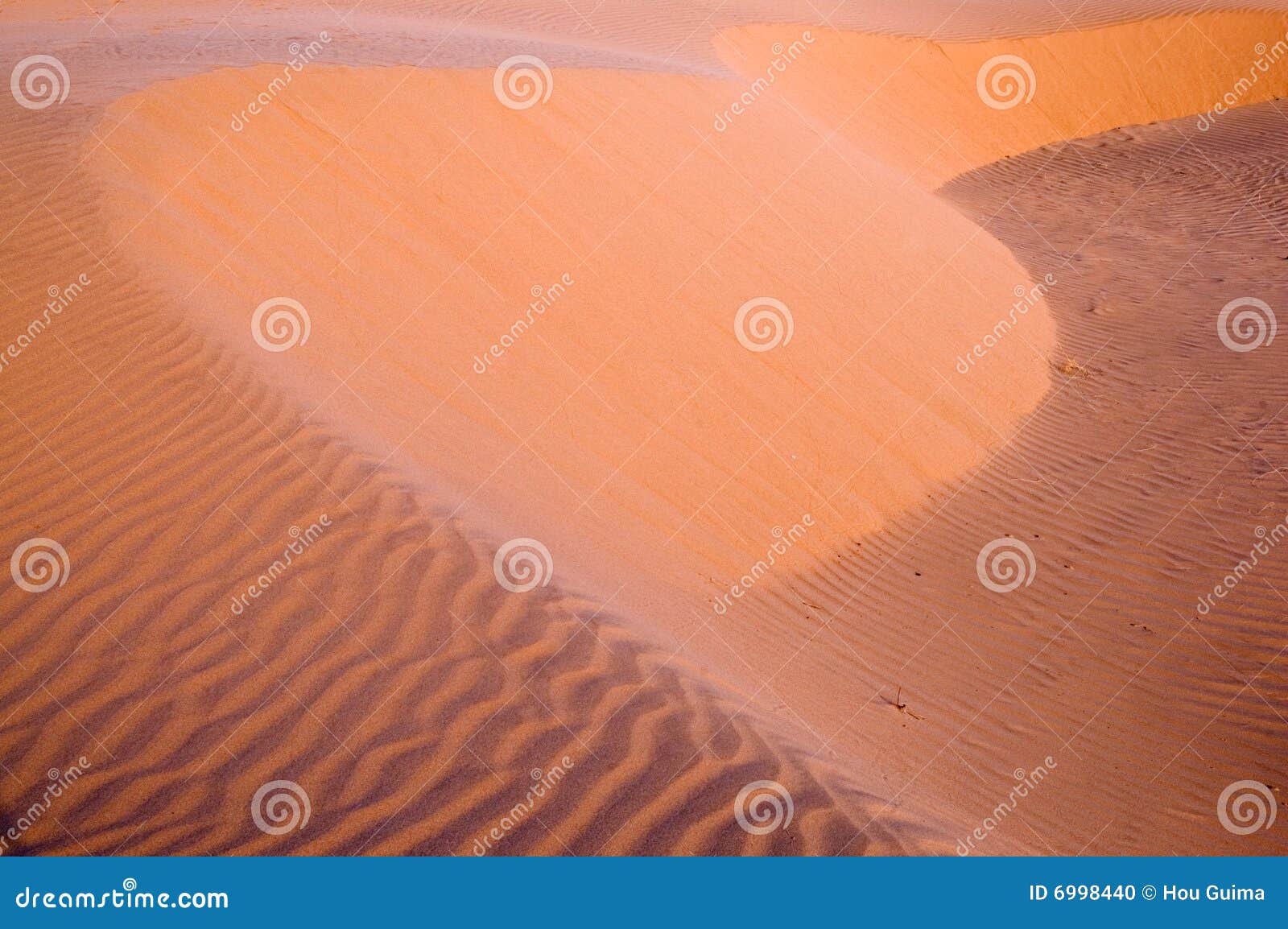 Mening van futlooze tropische woestijn
