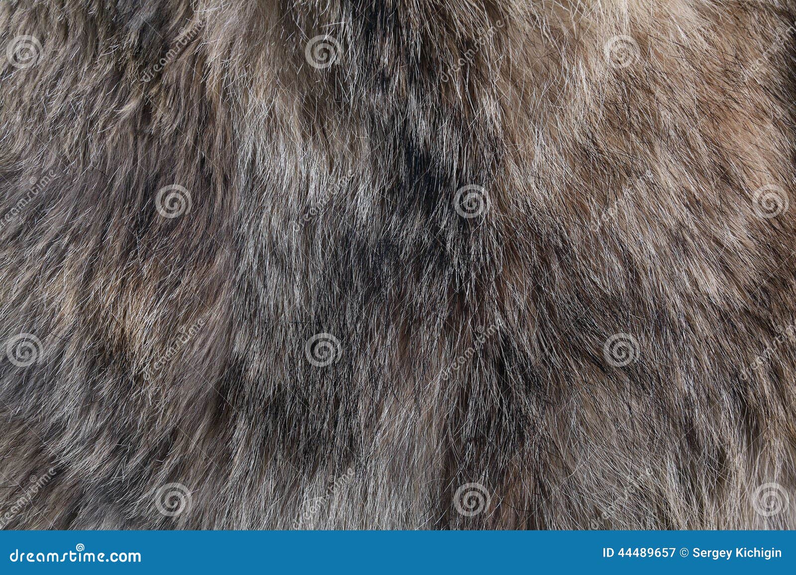 wolf fur texture natural