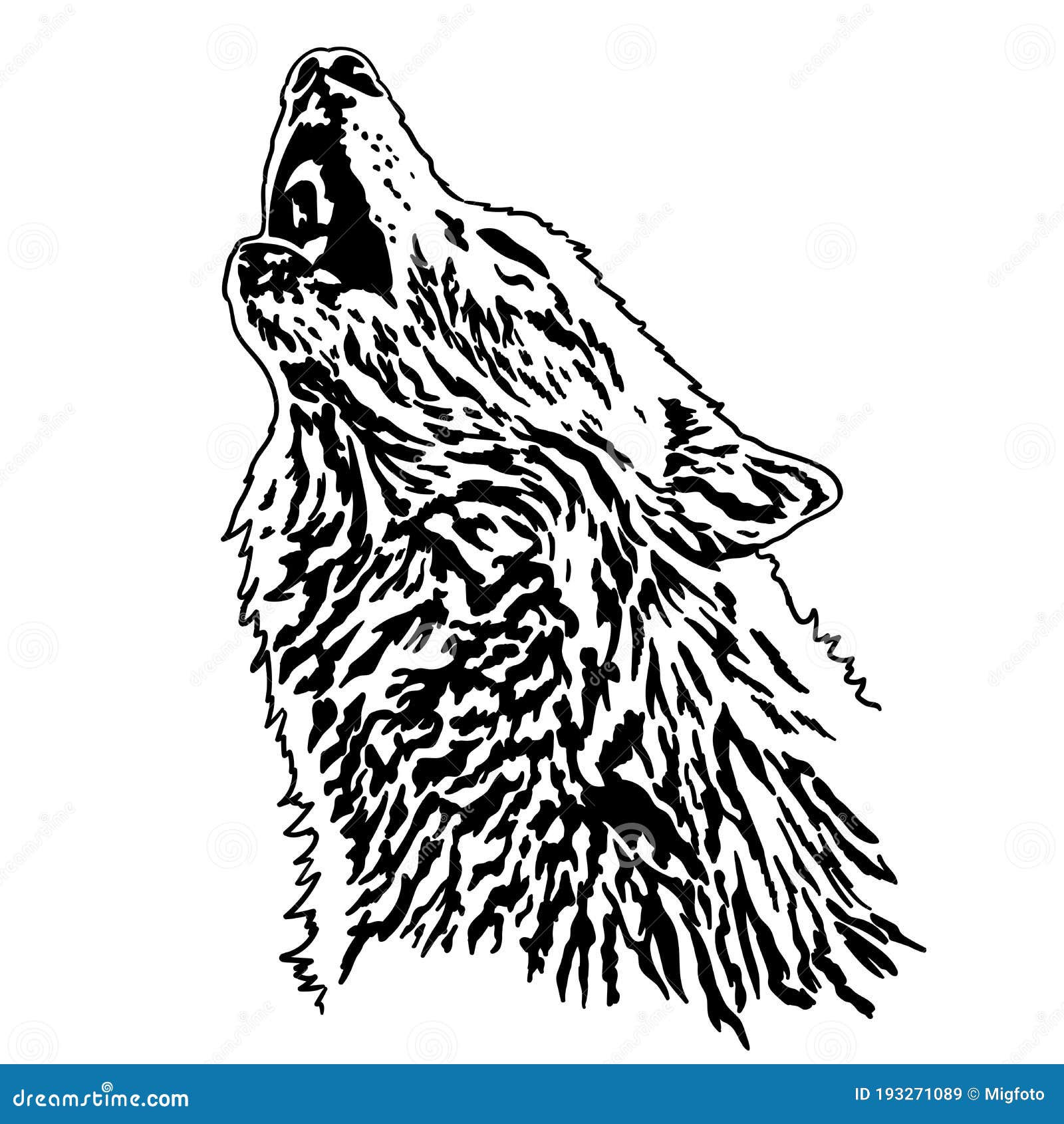 A large white wolf. stock vector. Illustration of mystery - 193271089