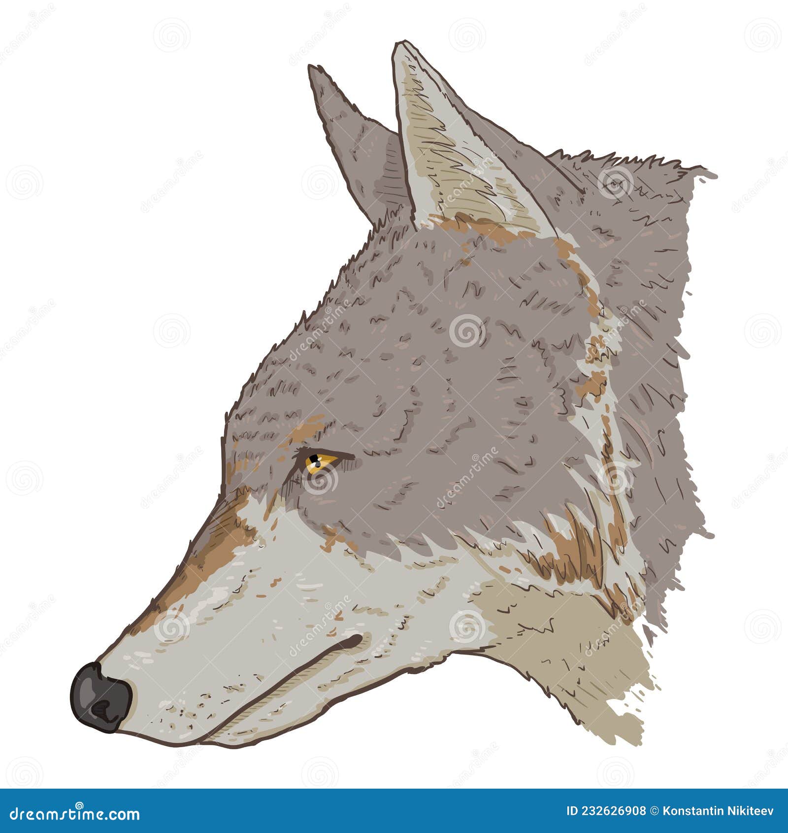 Wolfoo Cartoon (wolfoocartoon) - Profile