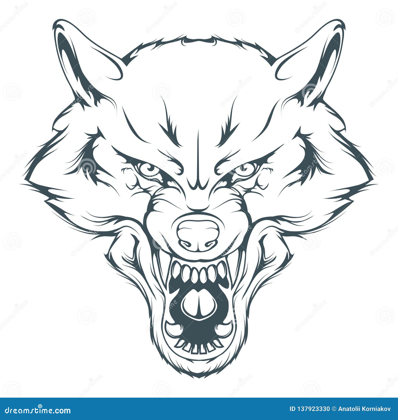 Wolf Head Drawing Picture  Drawing Skill