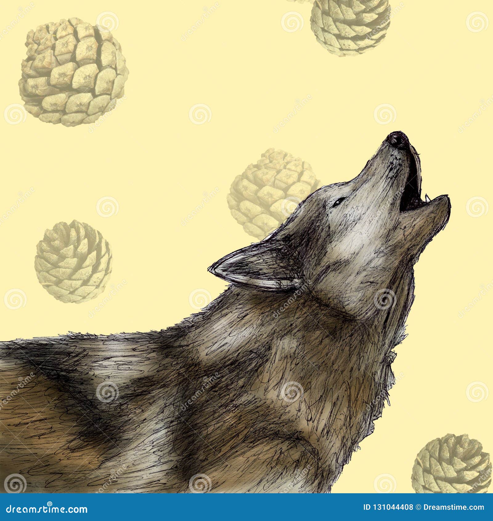pics Realistic Color Wolf Drawing dreamstime com
