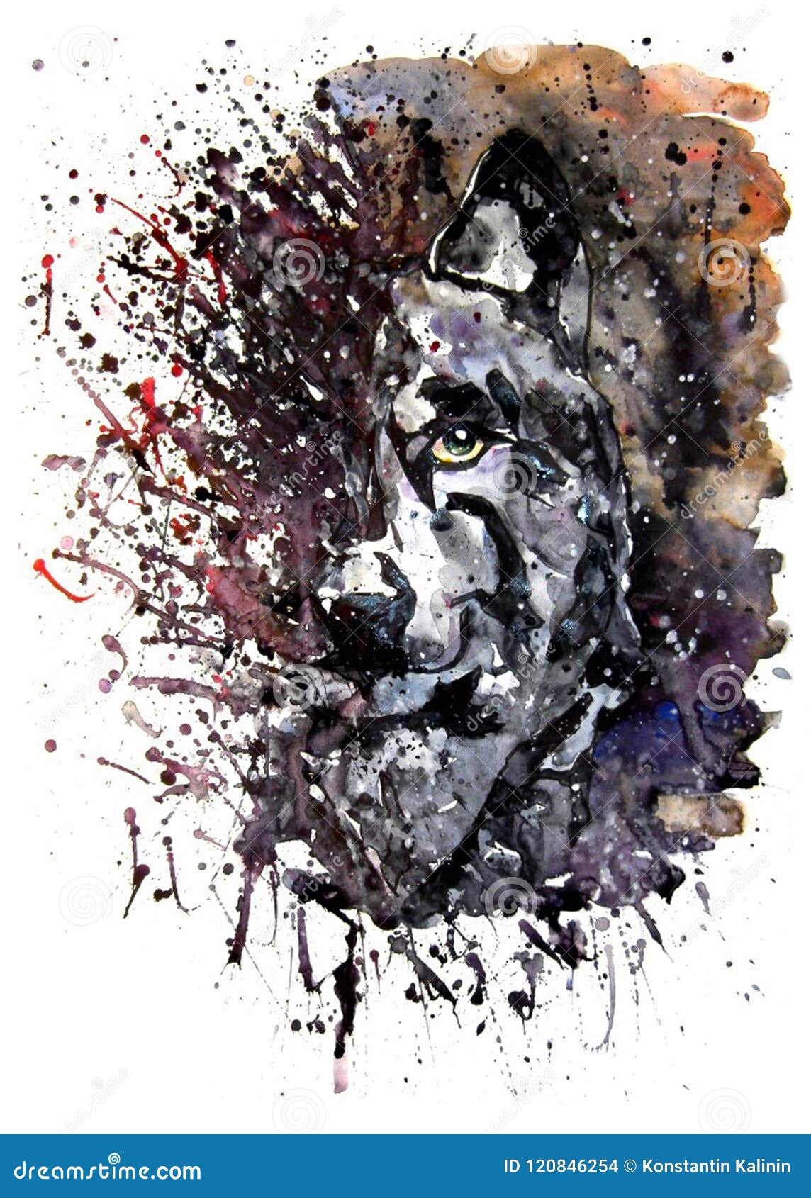 Wolf Predator Watercolor Painting Drawing Stock Illustration - Illustration  of wolf, wild: 120846254