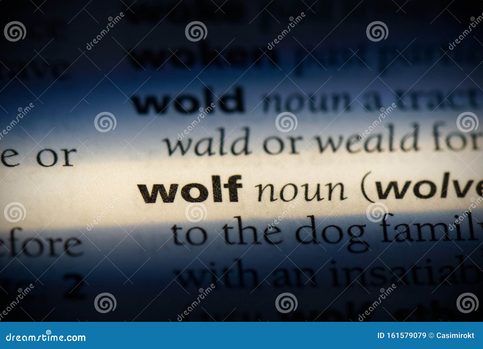 Wolf stock image. Image of close, minimal, idea, education 161579079