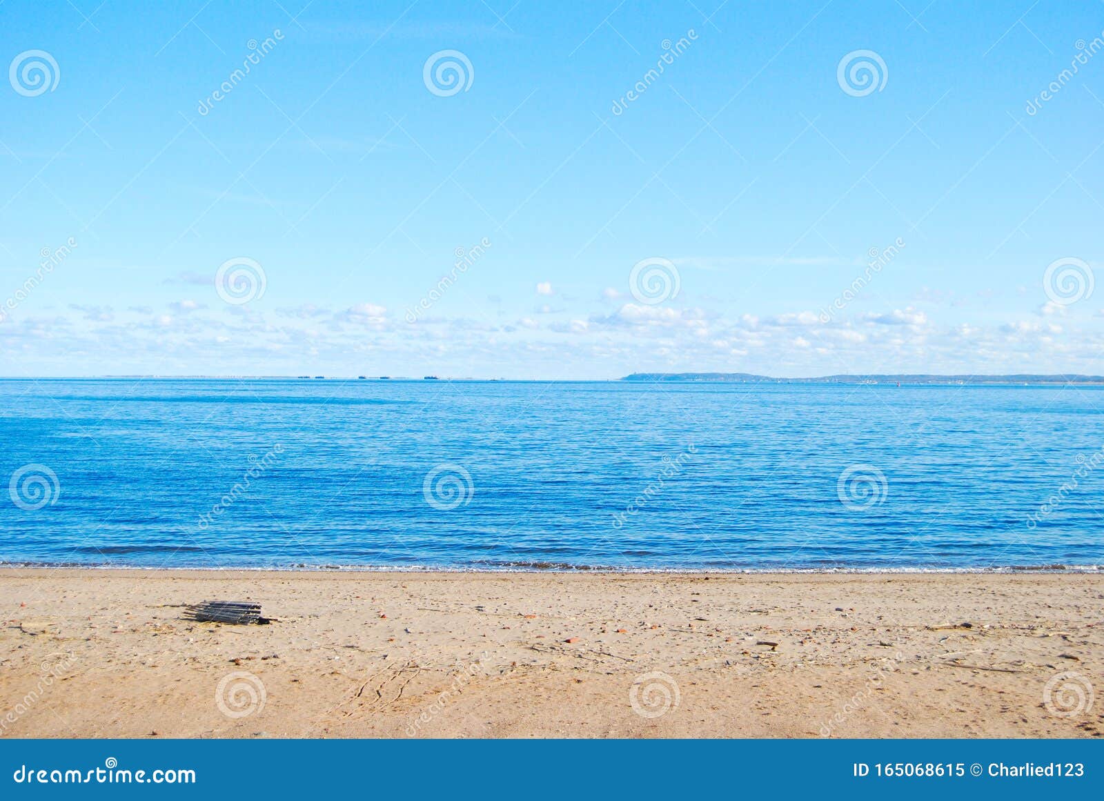 Wolfe`s Pond Park Beach in Staten Island NY Stock Image Image of park, wood 165068615