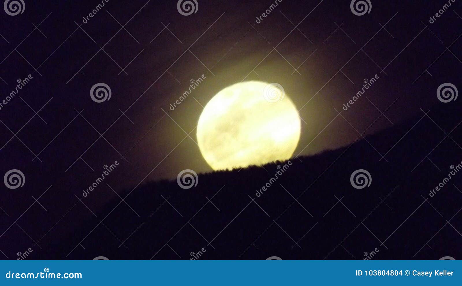 Montana Moon for the Wolfman Stock Photo Image of wolf, glow 103804804