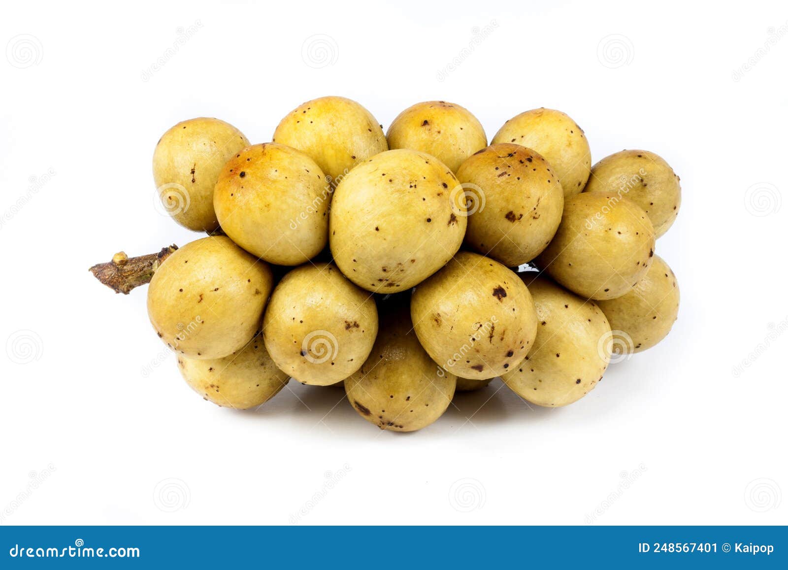 Wollongong stock image. Image of vegetable, close, organic 248567401