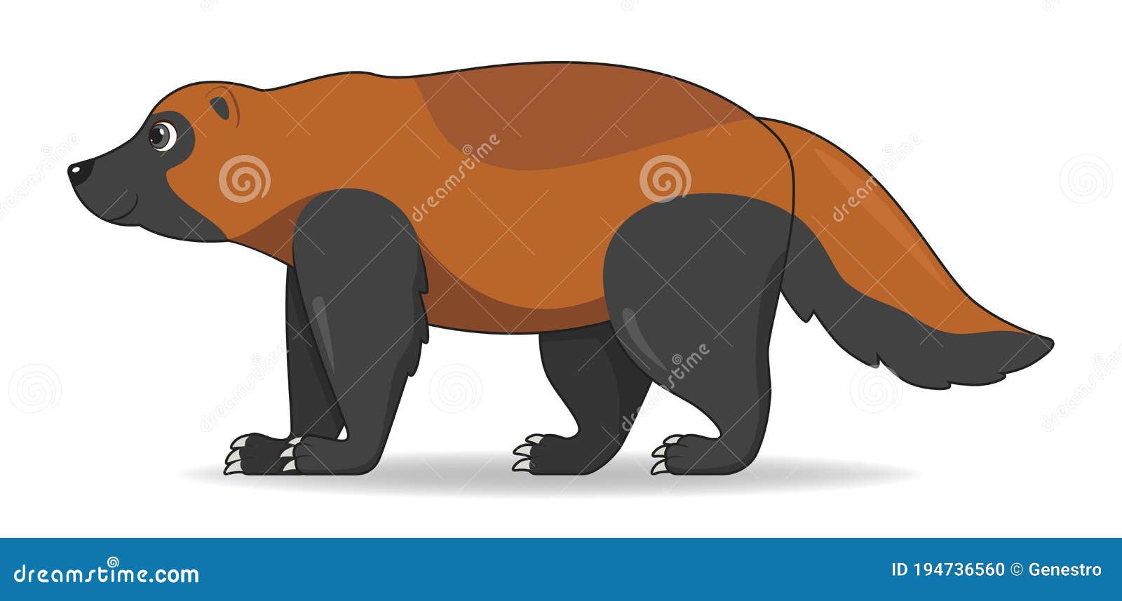Wolverine Animal Standing on a White Background Stock Vector - Illustration  of animals, vector: 194736560