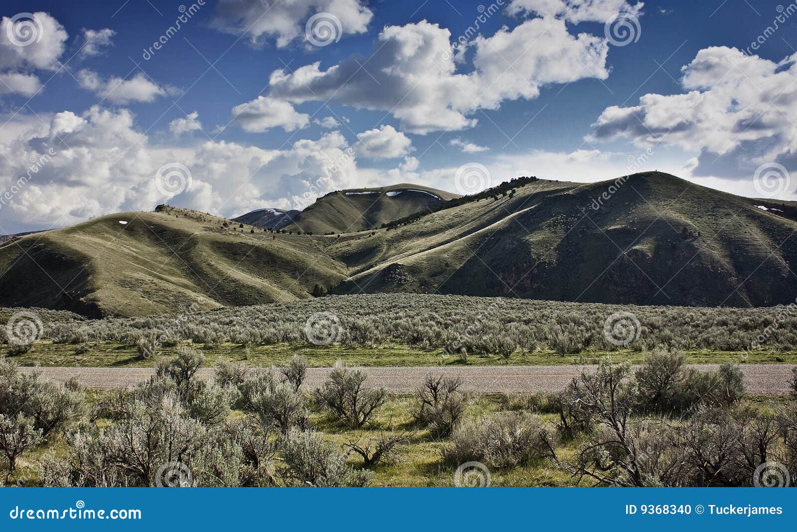 Wolverine Canyon stock photo. Image of nature, ecosystem 9368340