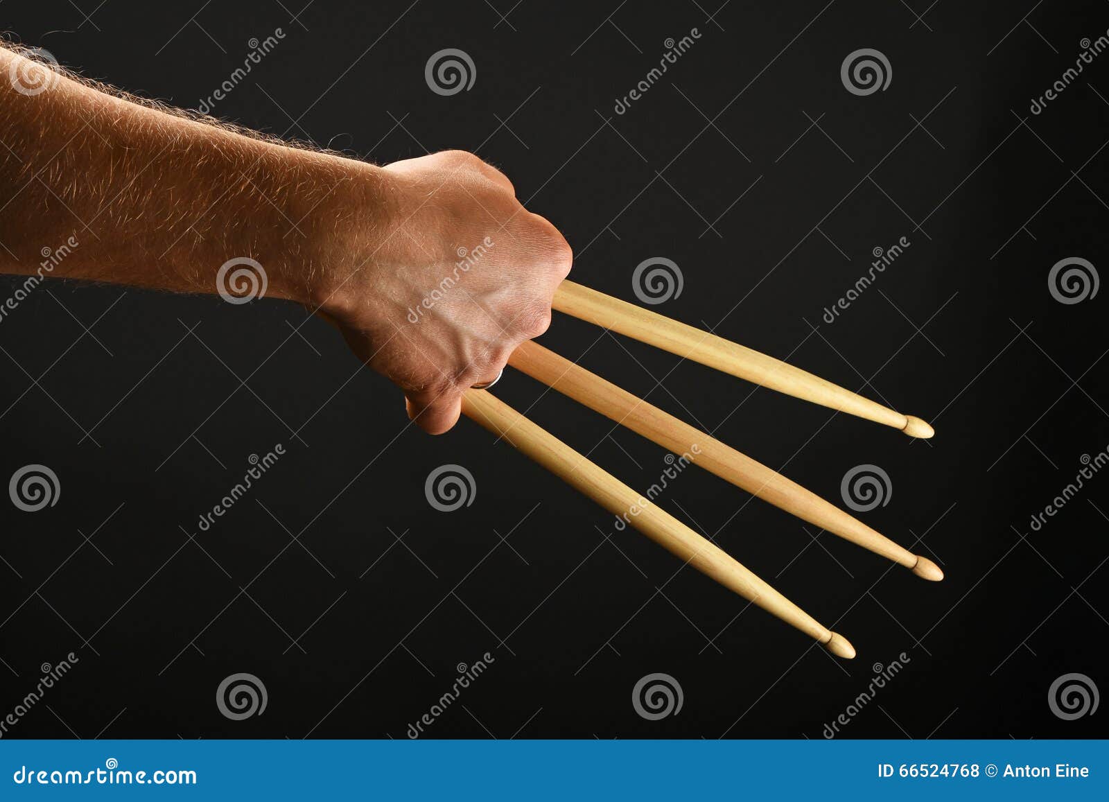 Wolverine Hand with Three Drumsticks Over Black Stock Photo - Image of  background, gesture: 66524768