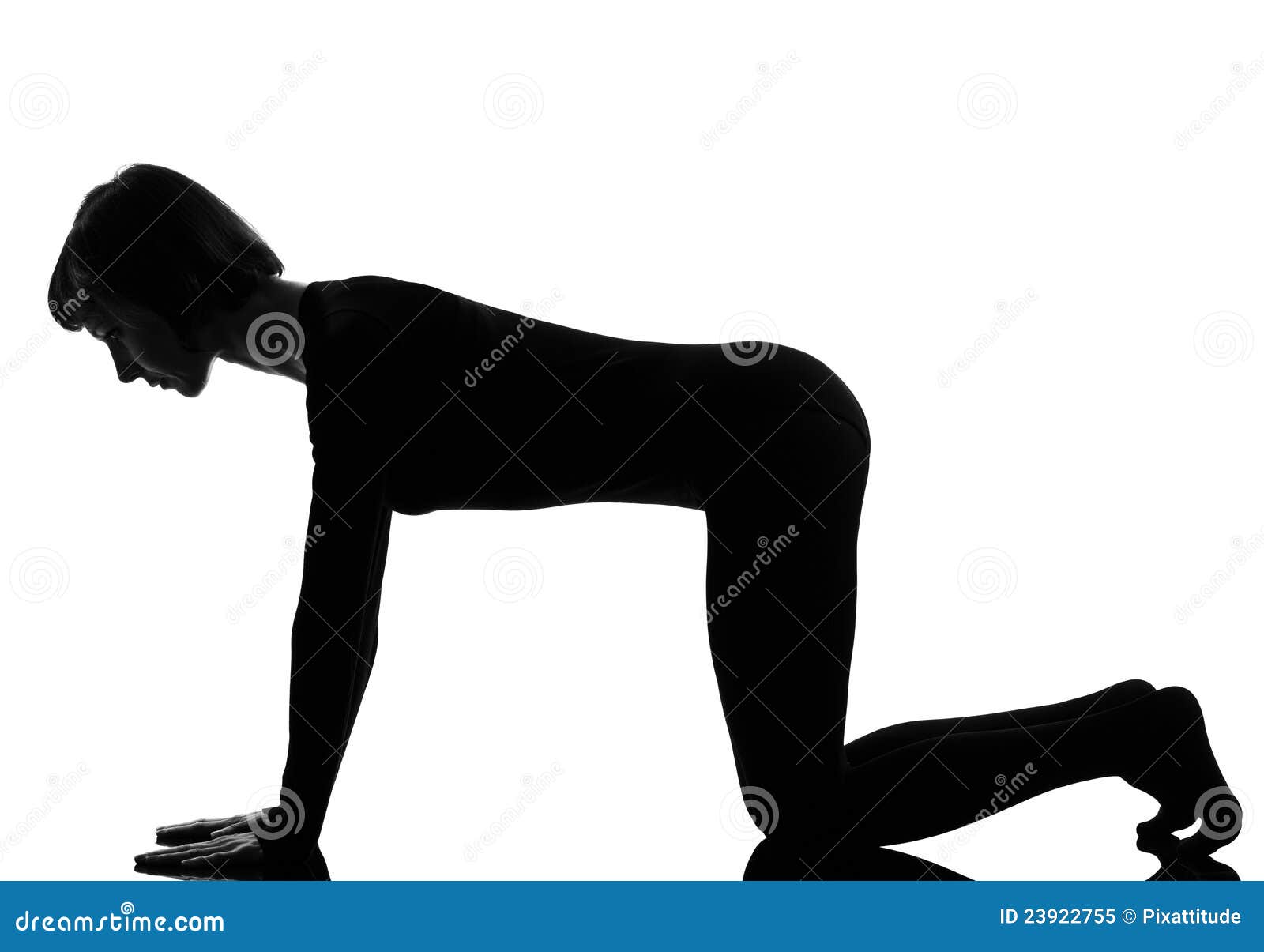 stance stand sex Position