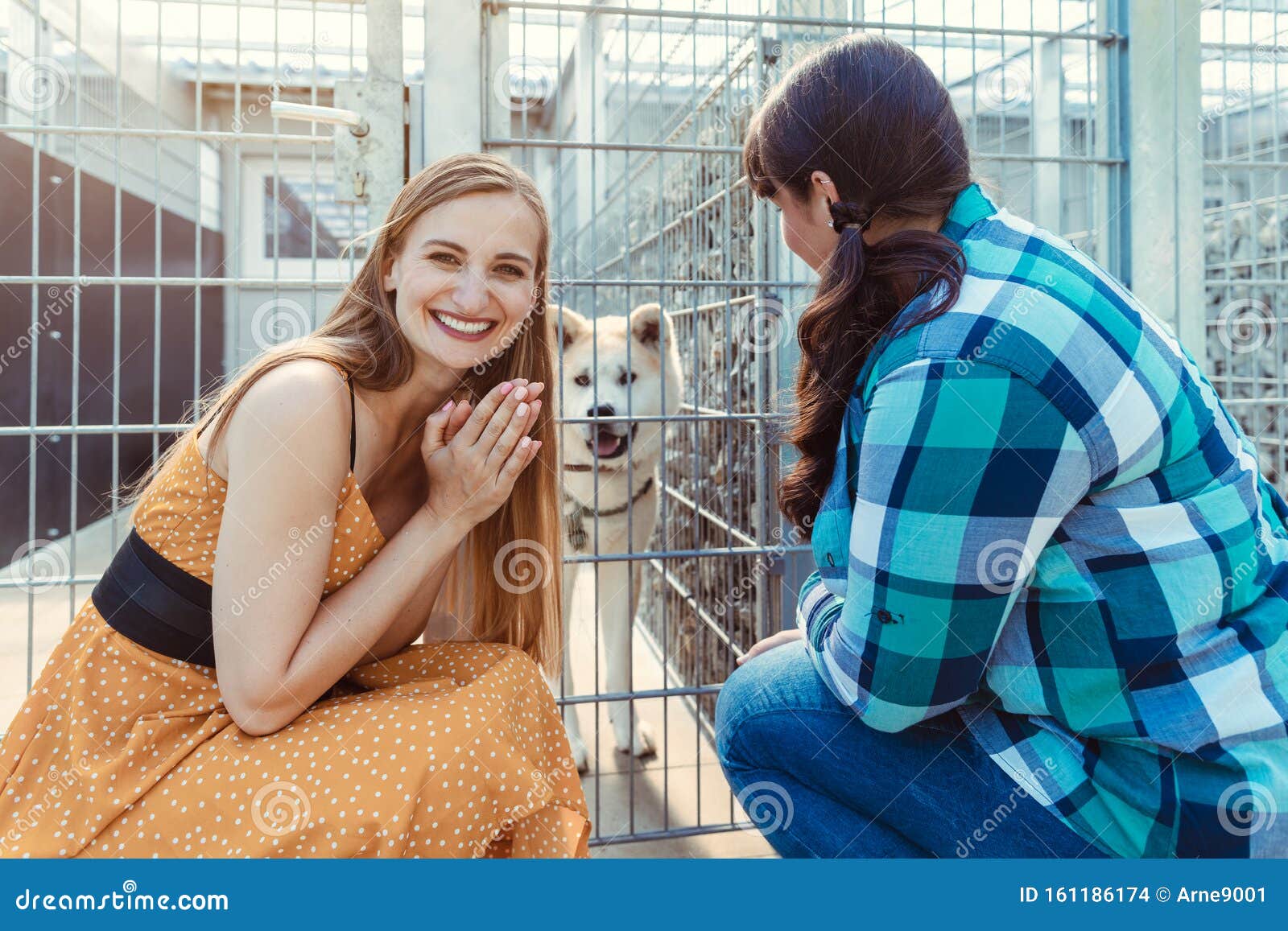 woman adopting a dog in the animal shelter, eagerly waiting