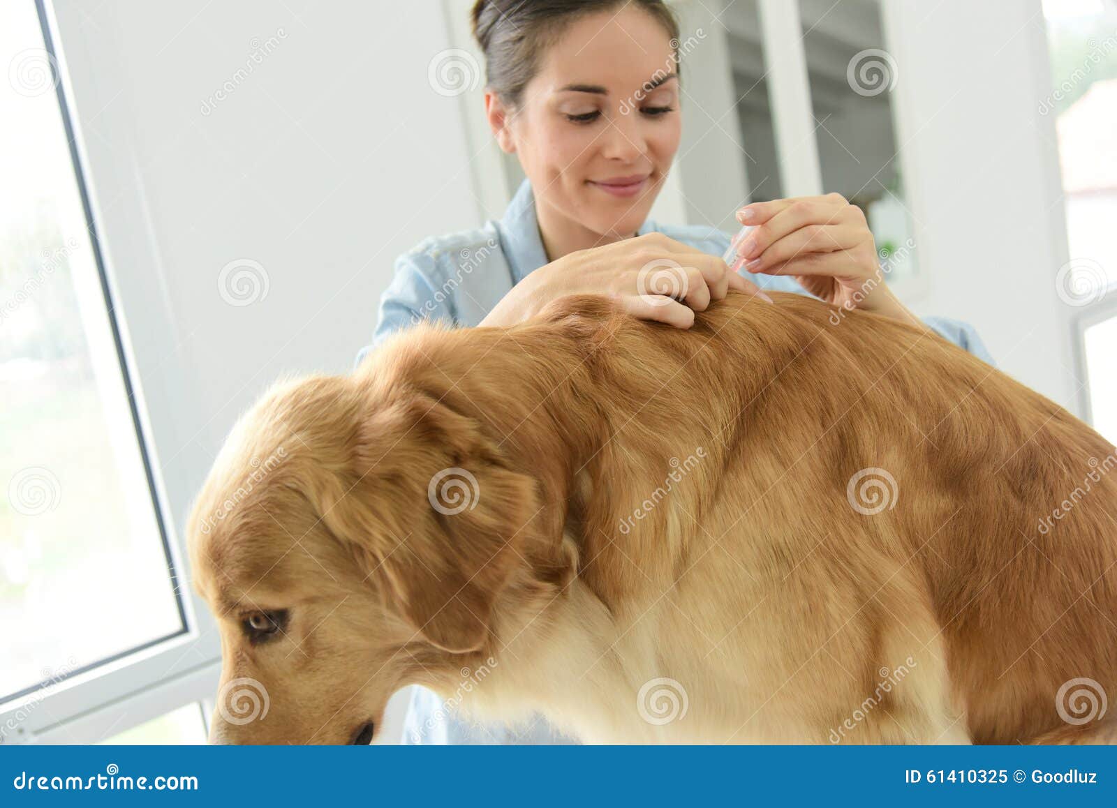woman applying tick prevention to her dog