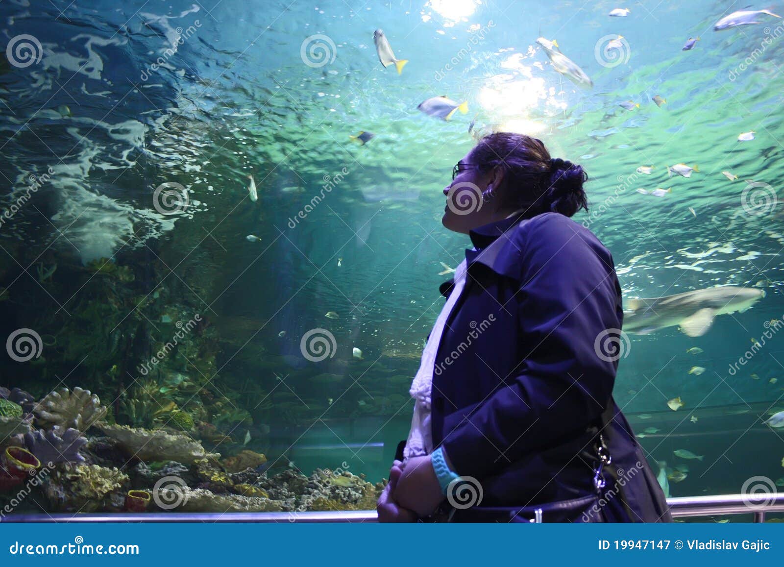 Woman in aquarium stock image. Image of georgia, black - 19947147