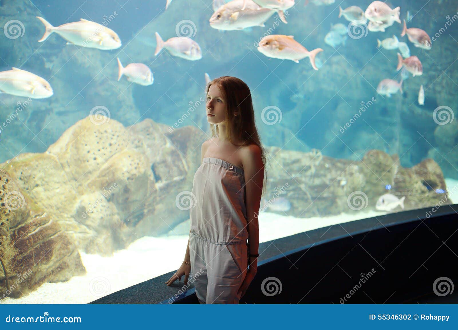 Woman in the Aquarium Looking on Fishes Stock Photo - Image of fish