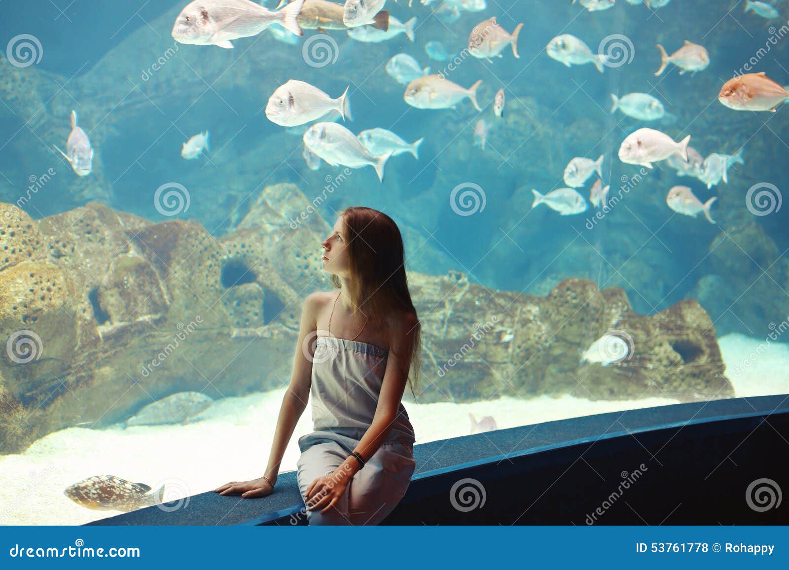 Woman in the Aquarium Watching the Fish Stock Photo - Image of leisure