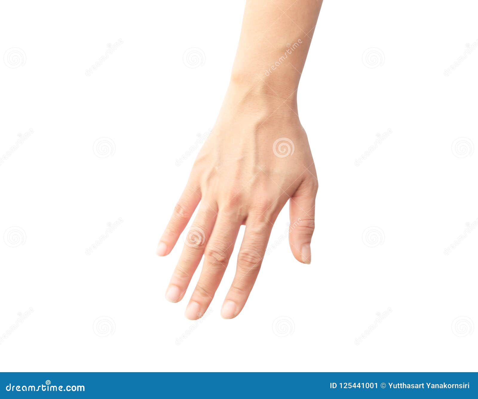 Woman Arm With Blood Veins On White Background, Health Care And Stock
