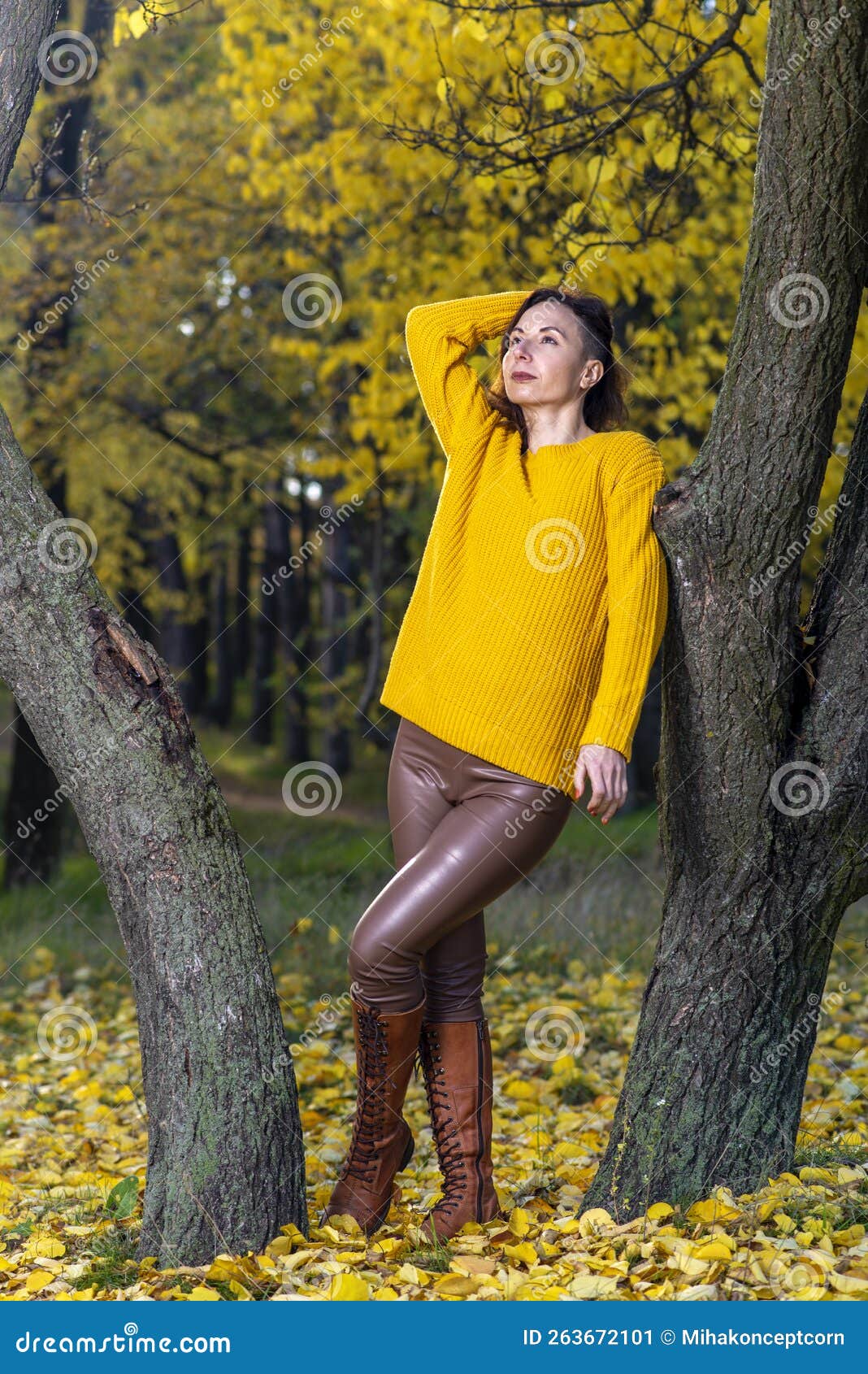 Woman in Autumn Dress in the Forest Stock Image - Image of photoshoot ...