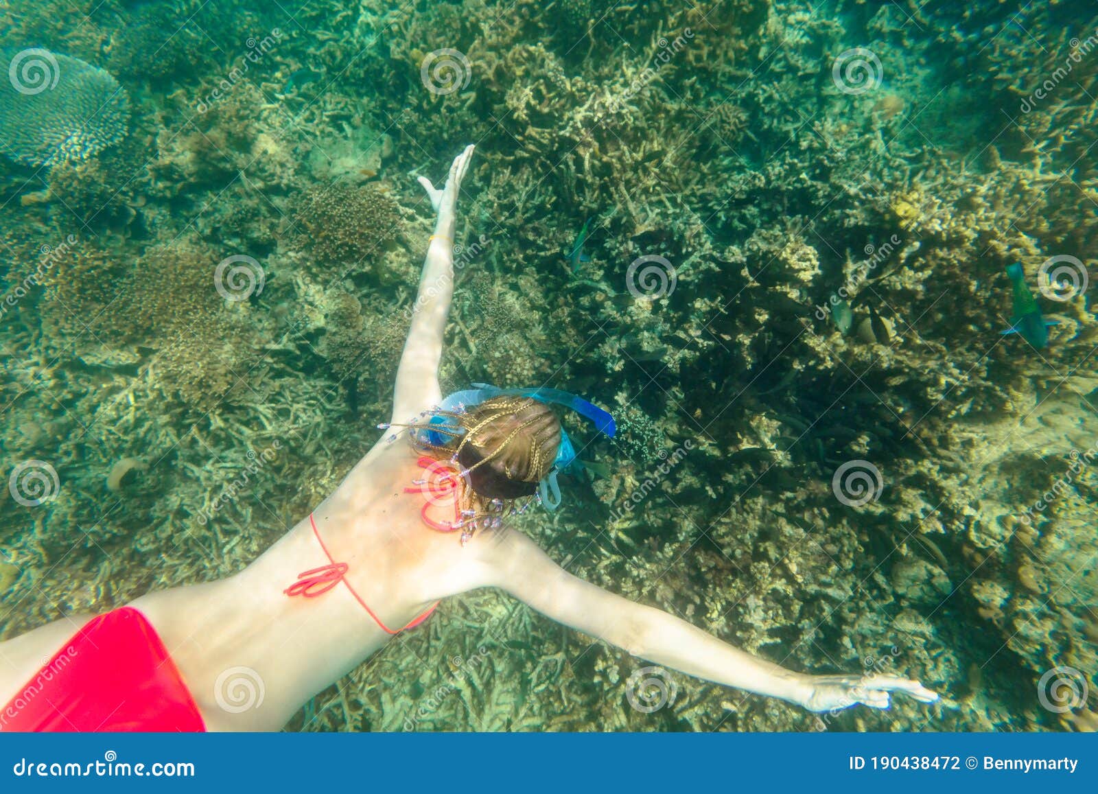 Woman Bikini Apnea Surin Islands Stock Photo - Image of snorkeler, andaman:  190438472