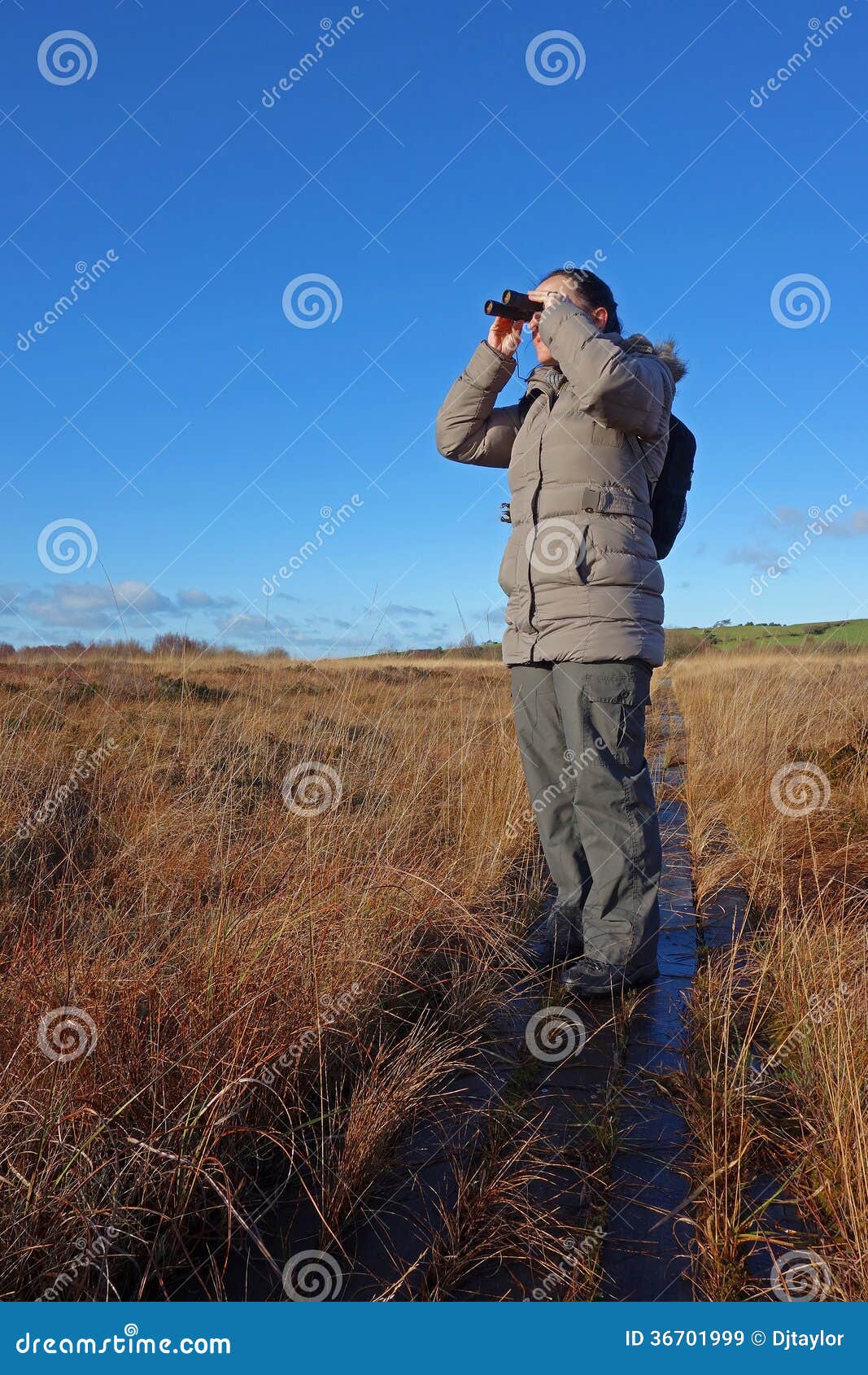 woman with binoculars birdwatching,