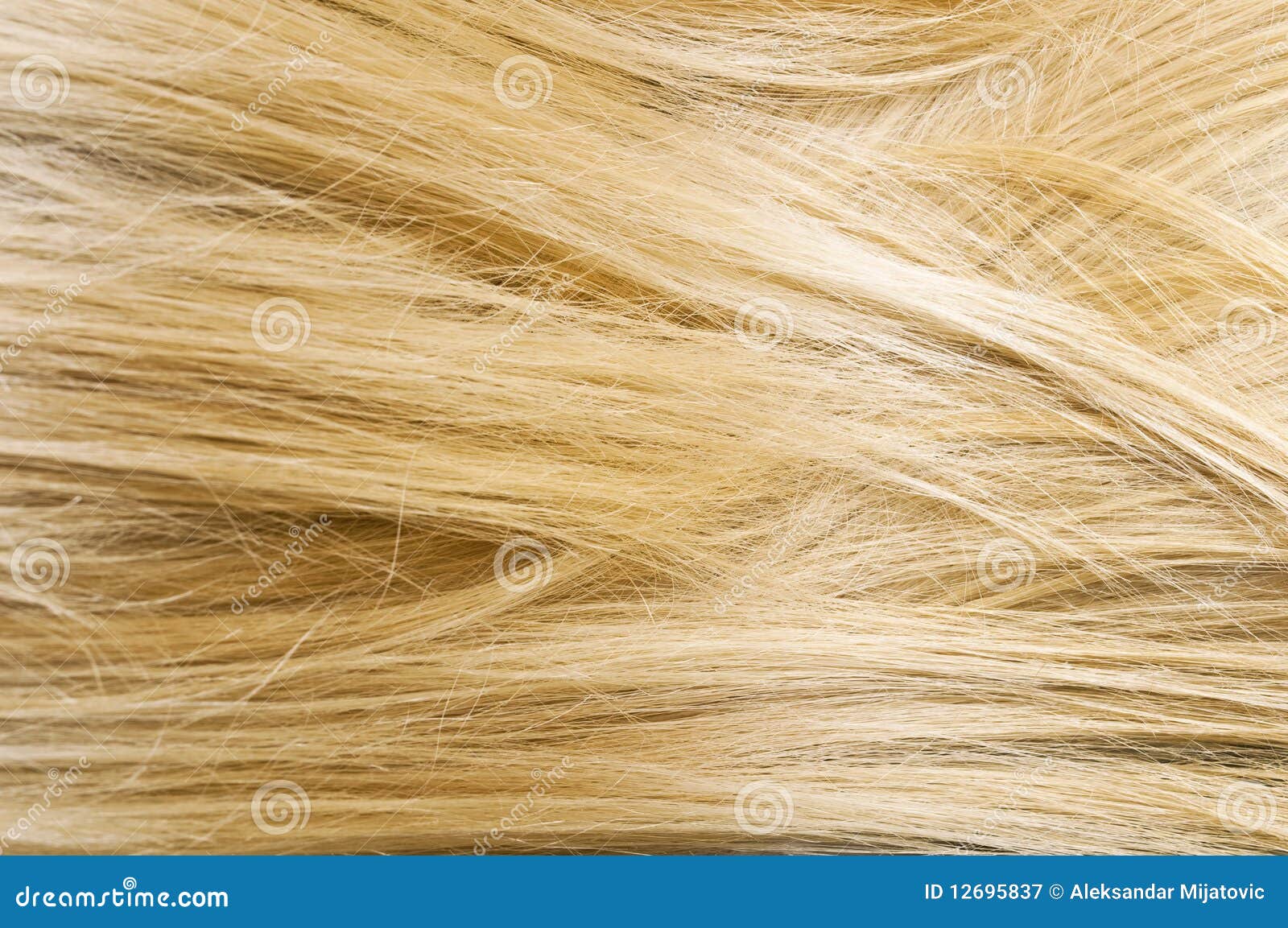Woman blonde hair texture stock image. Image of female 